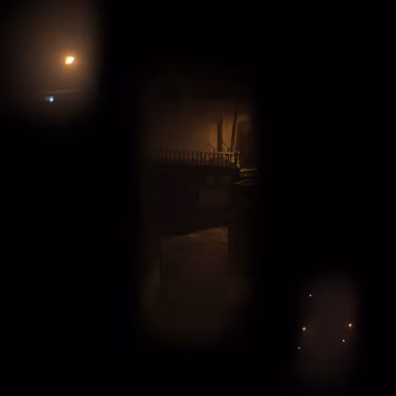 Glimpses in the shadow #12
