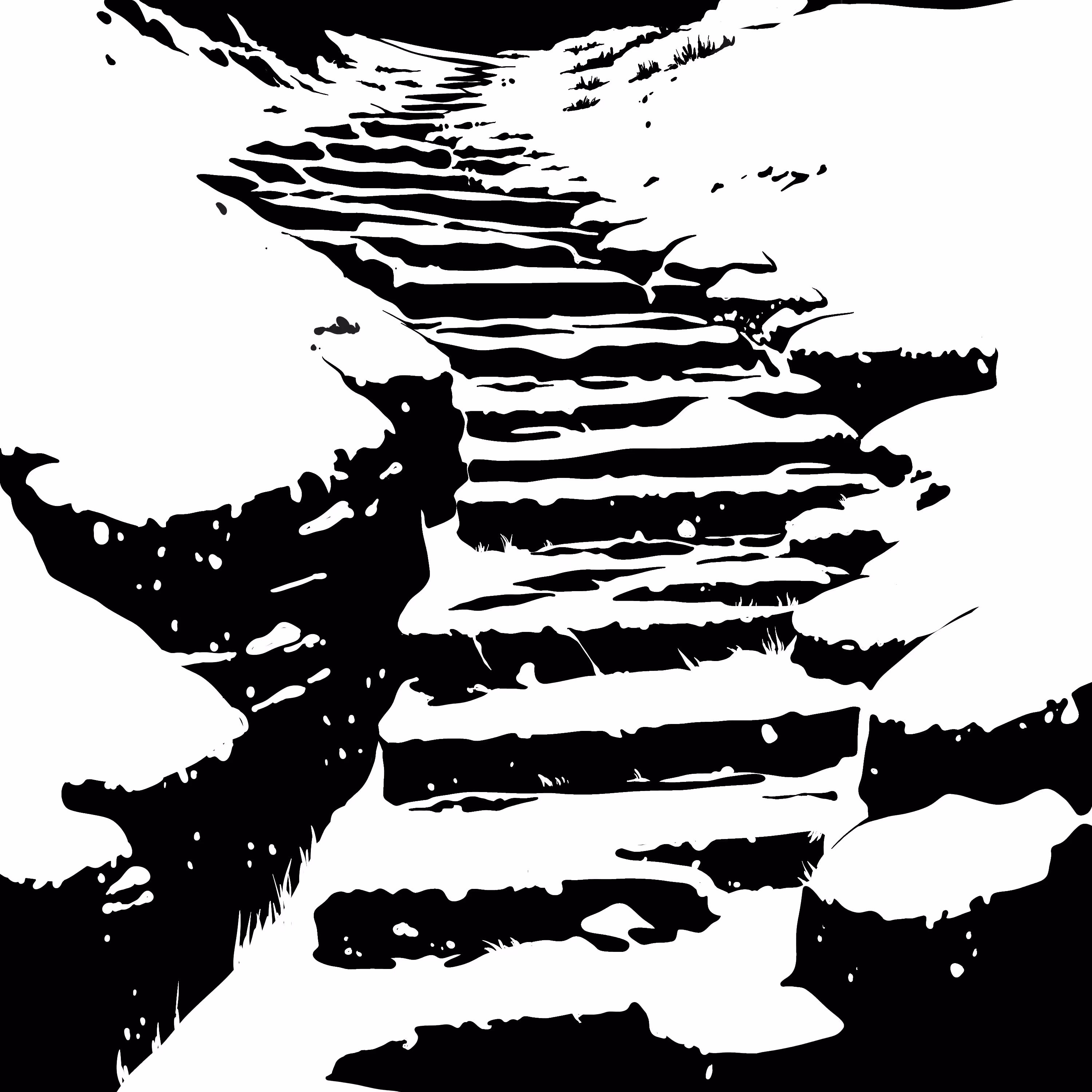 Path 