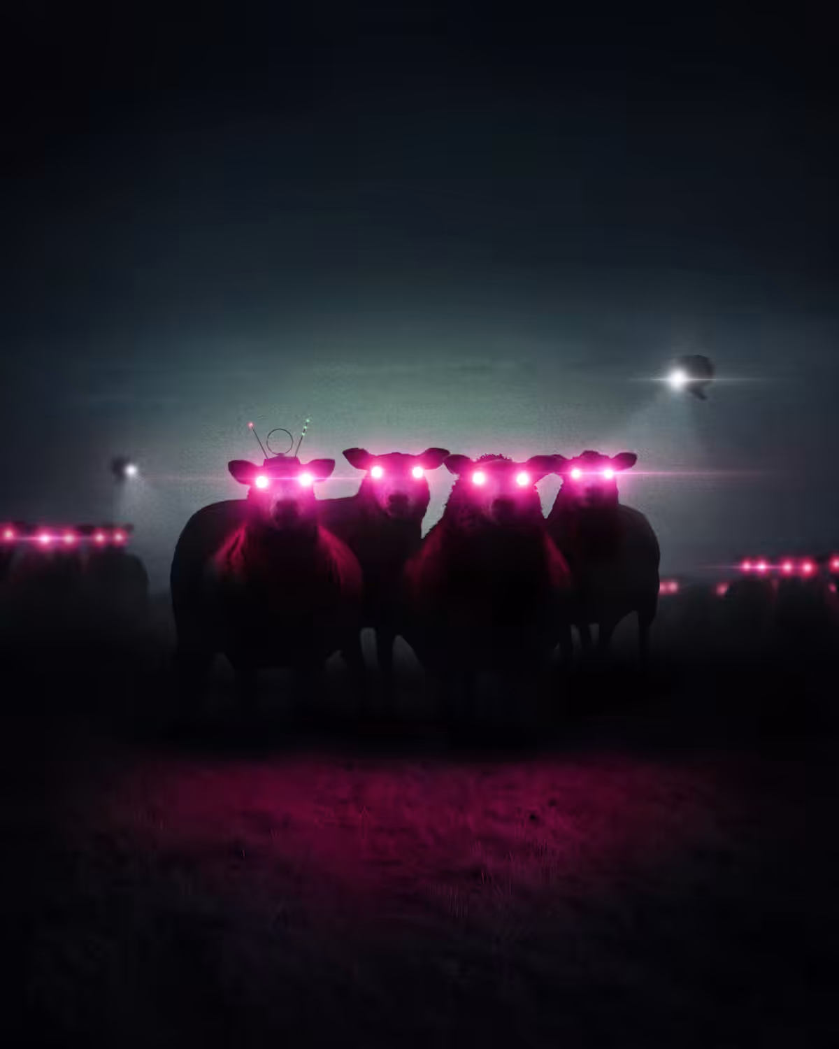 Electric Sheep