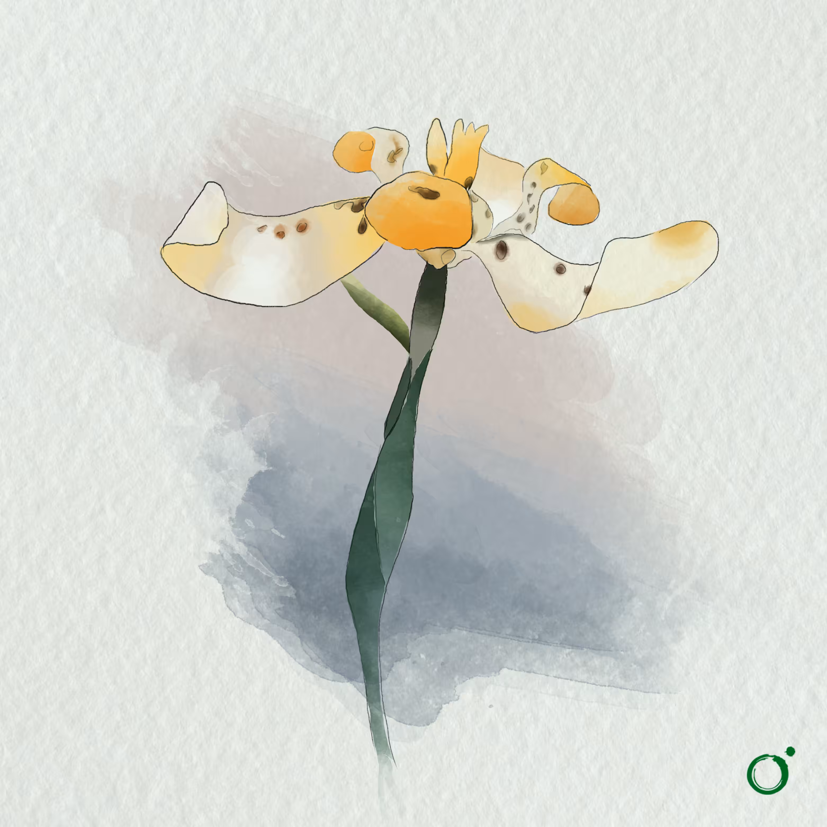 Botany-001