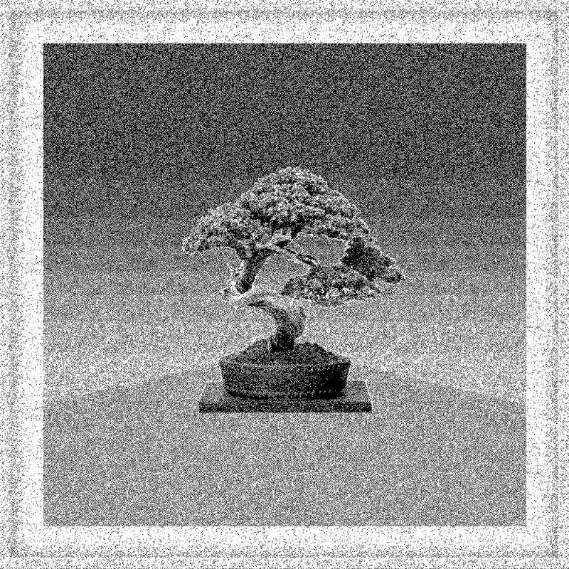 Bonsai Bonanza #704