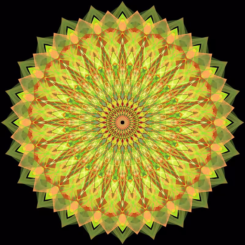 Morphing Mandala - #fxhashturnsone charity #4