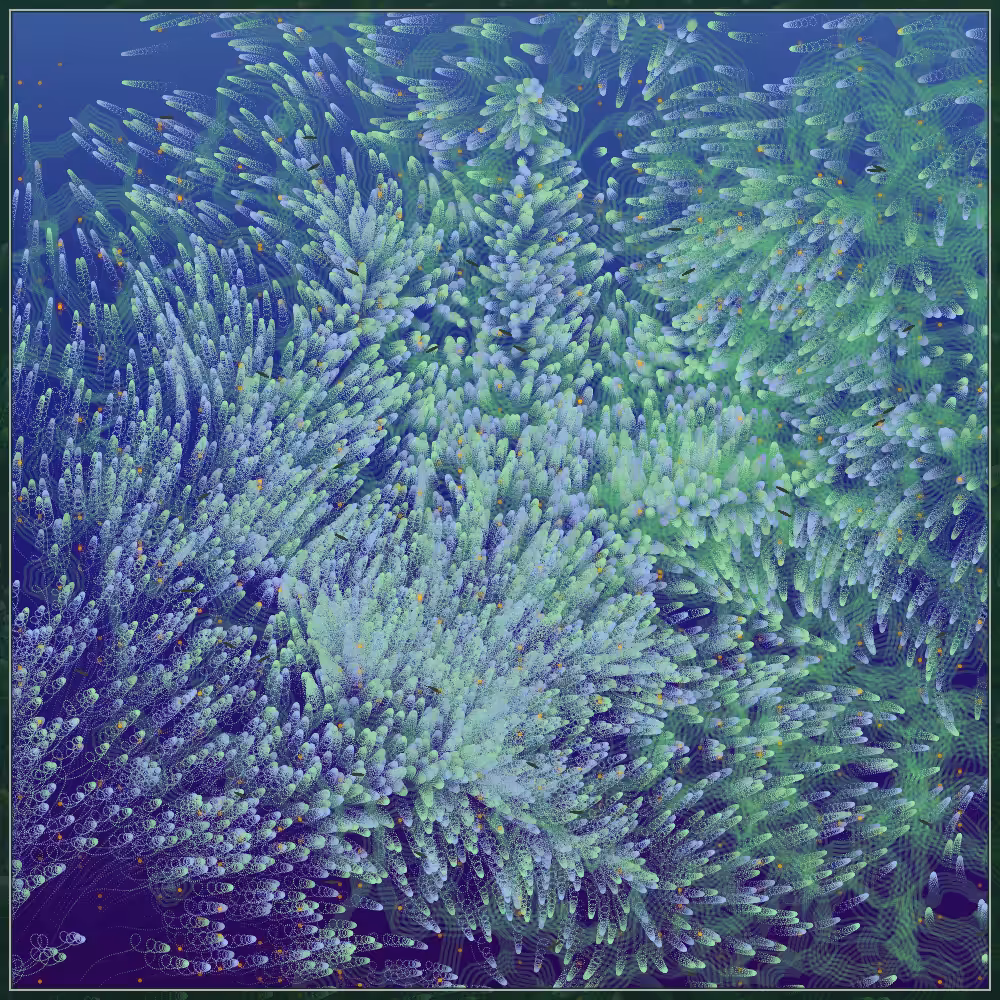 Tezbloom in ocean #36