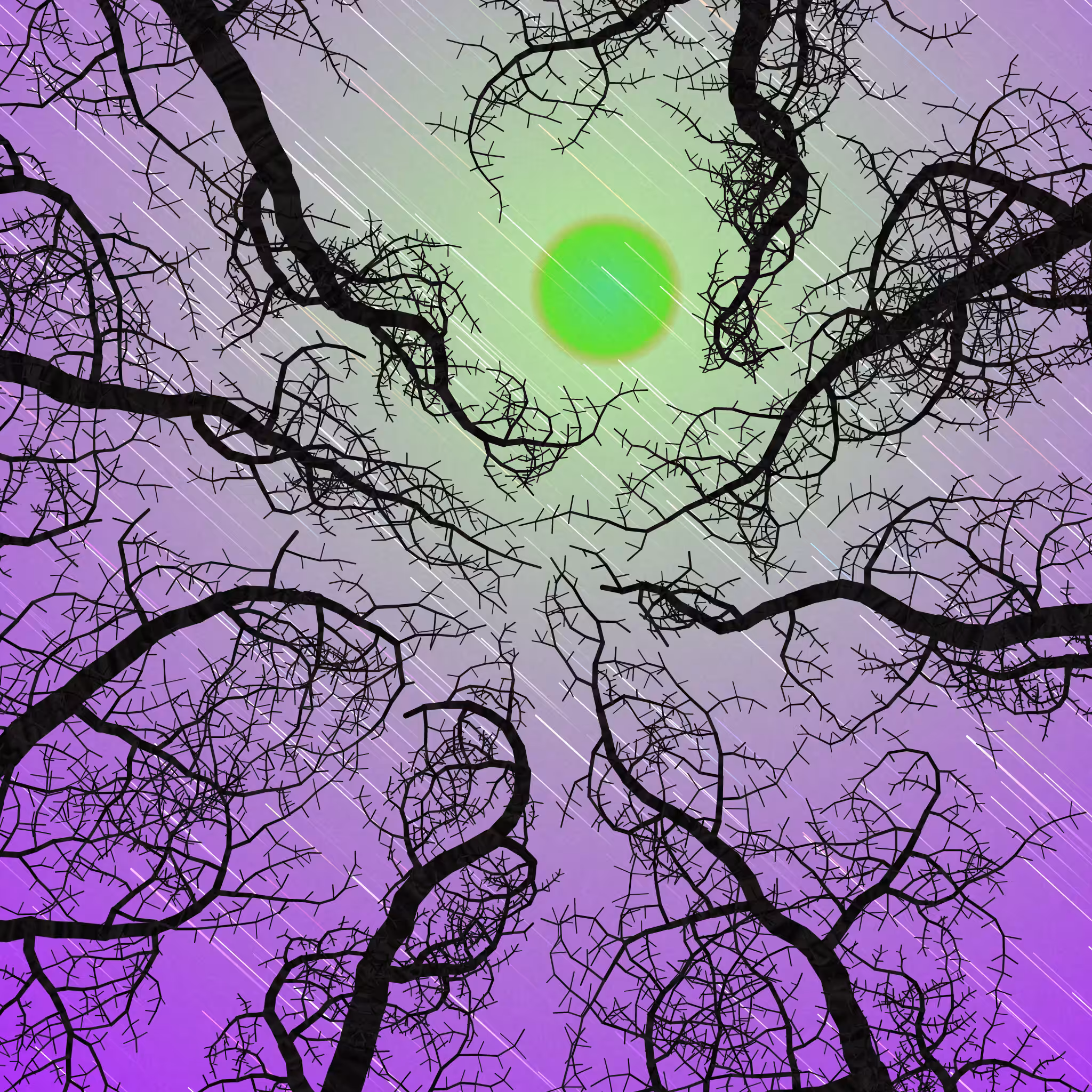 Tree Skyness #117
