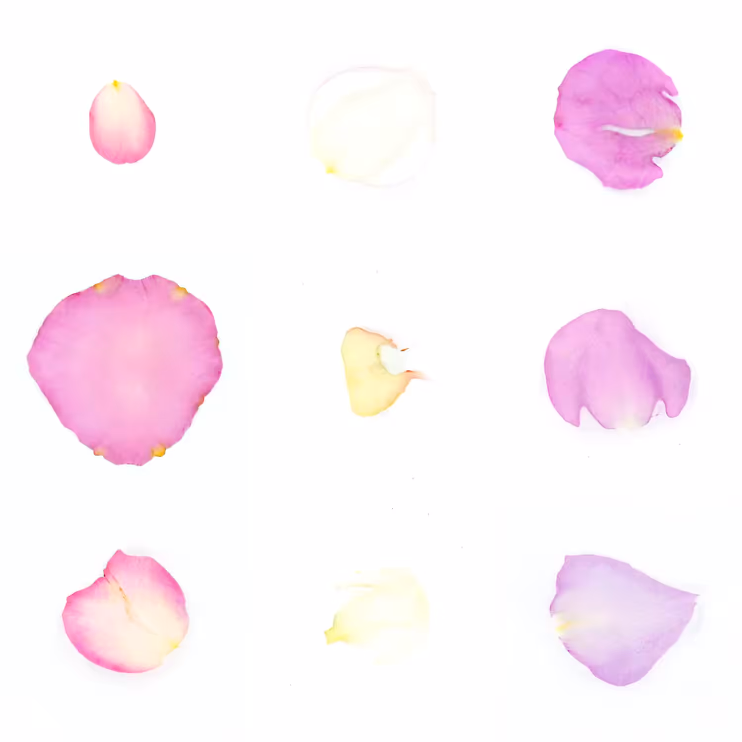 Infinite Petals 3x3#3819