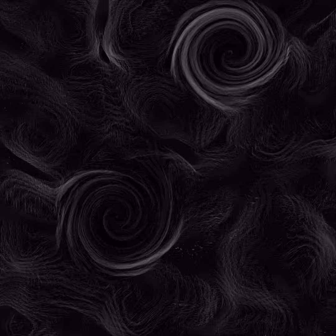 Black Holes