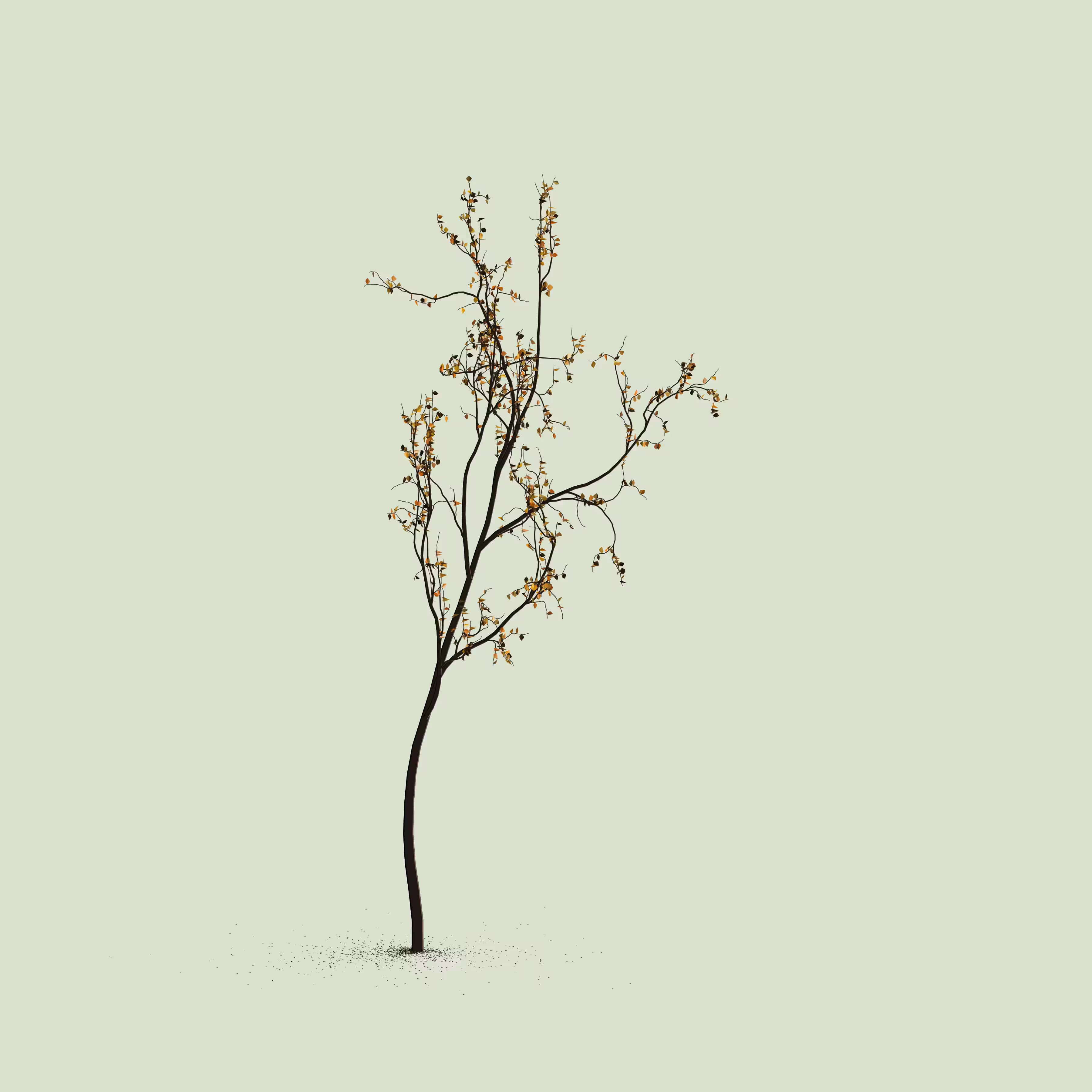 Little Trees #46