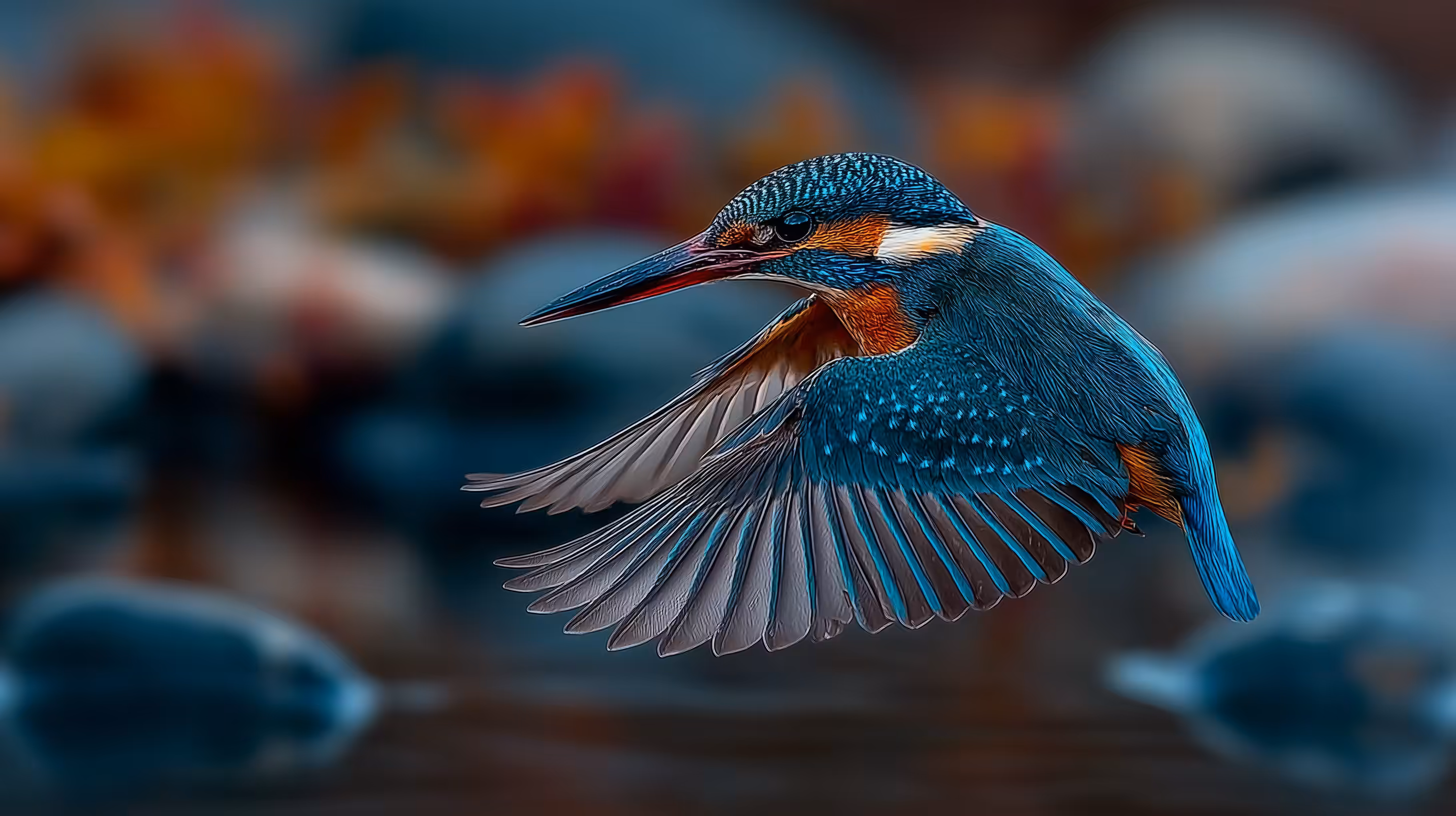 King of the Fishers