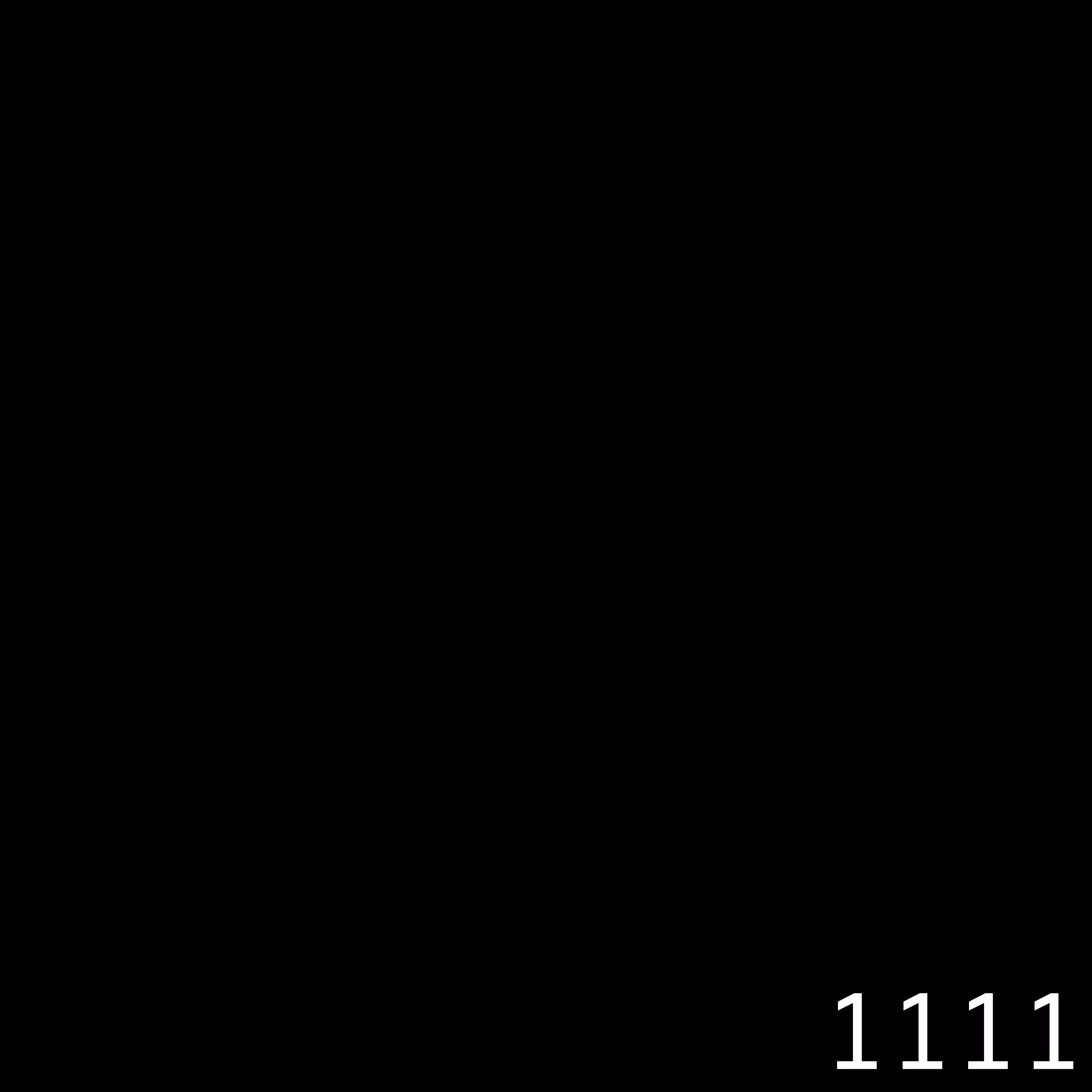1111_v