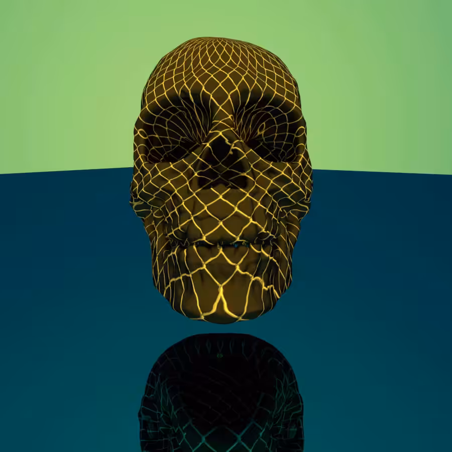 Montana skull