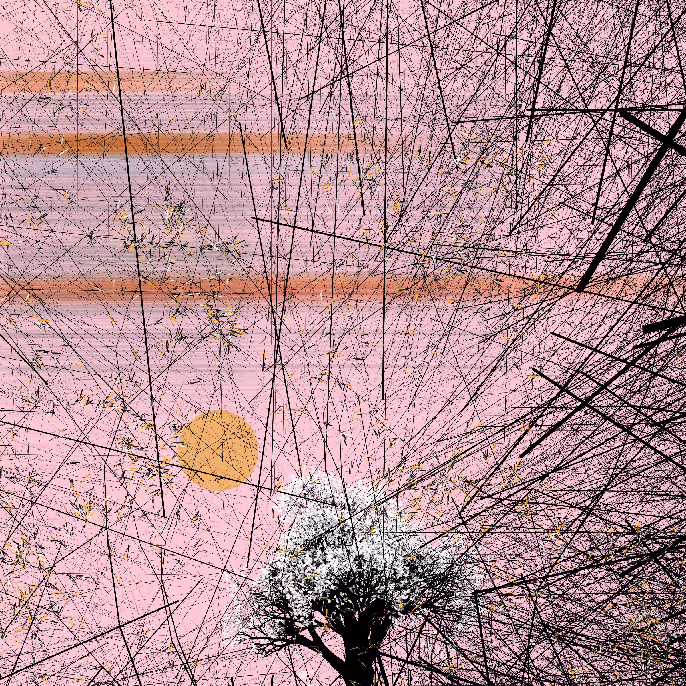 conversation with the wind #173