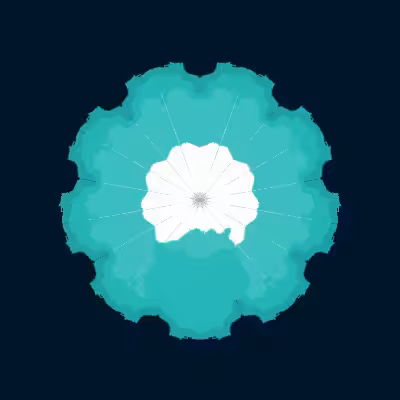 Mirage #8