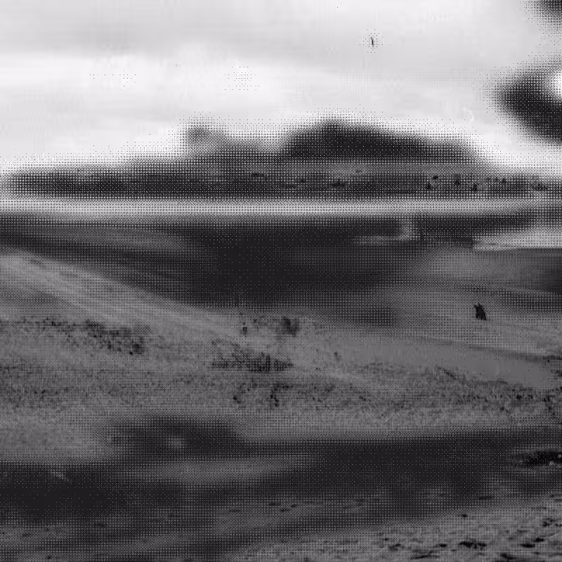 Scrambled Memories #113