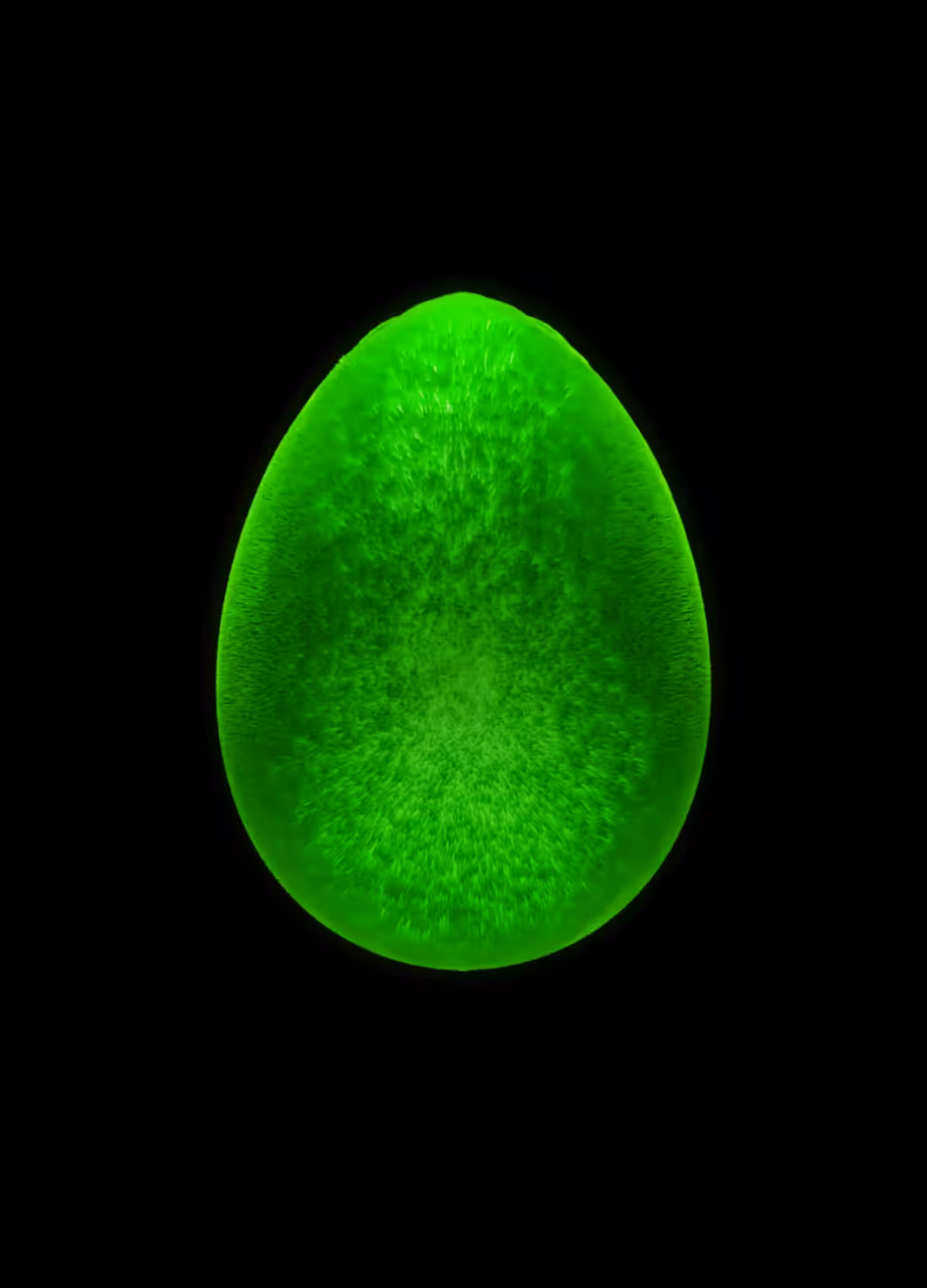 DOGE OVERLORD REMIX - EGGDITION