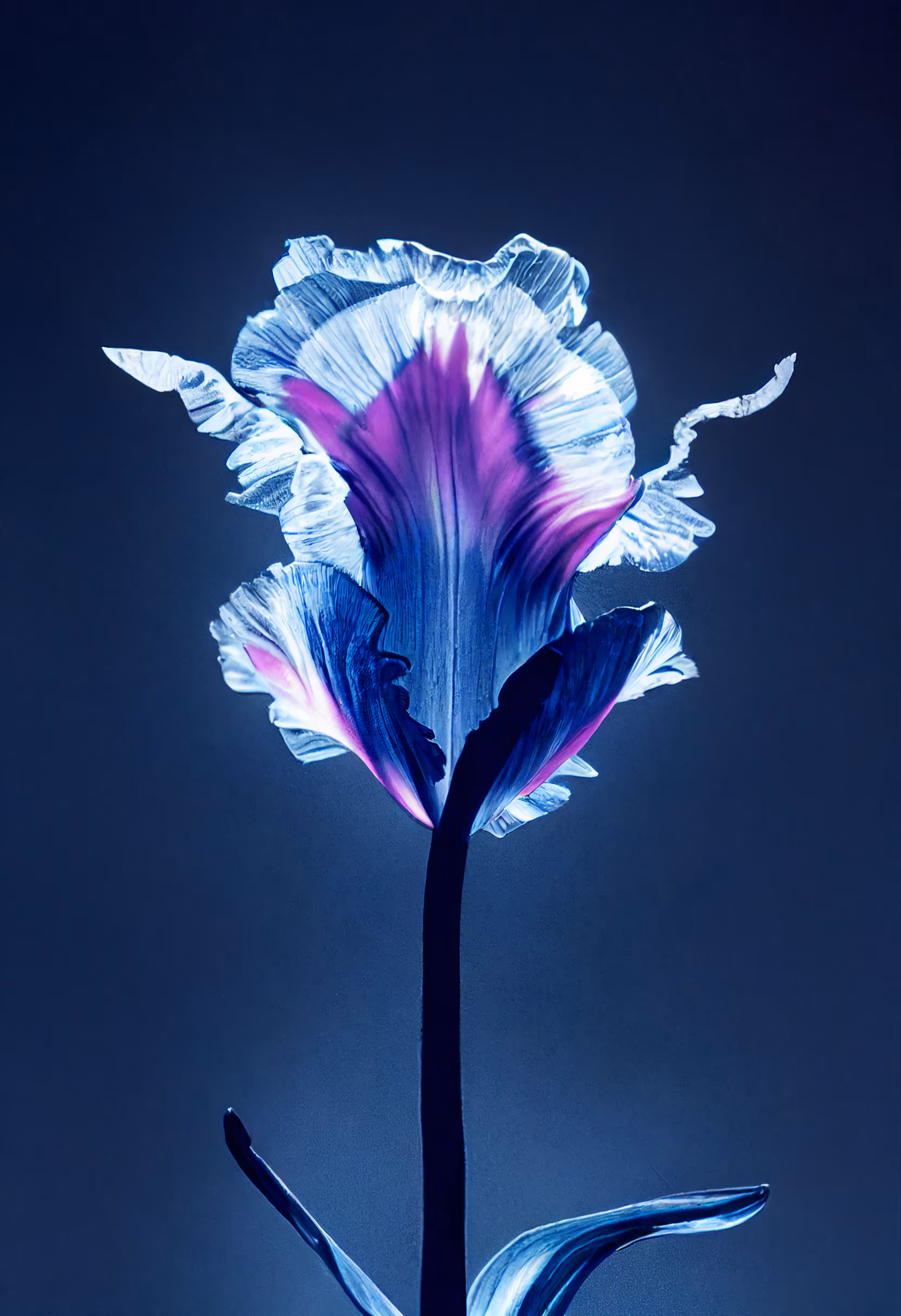 A Flower, Just For You. #37