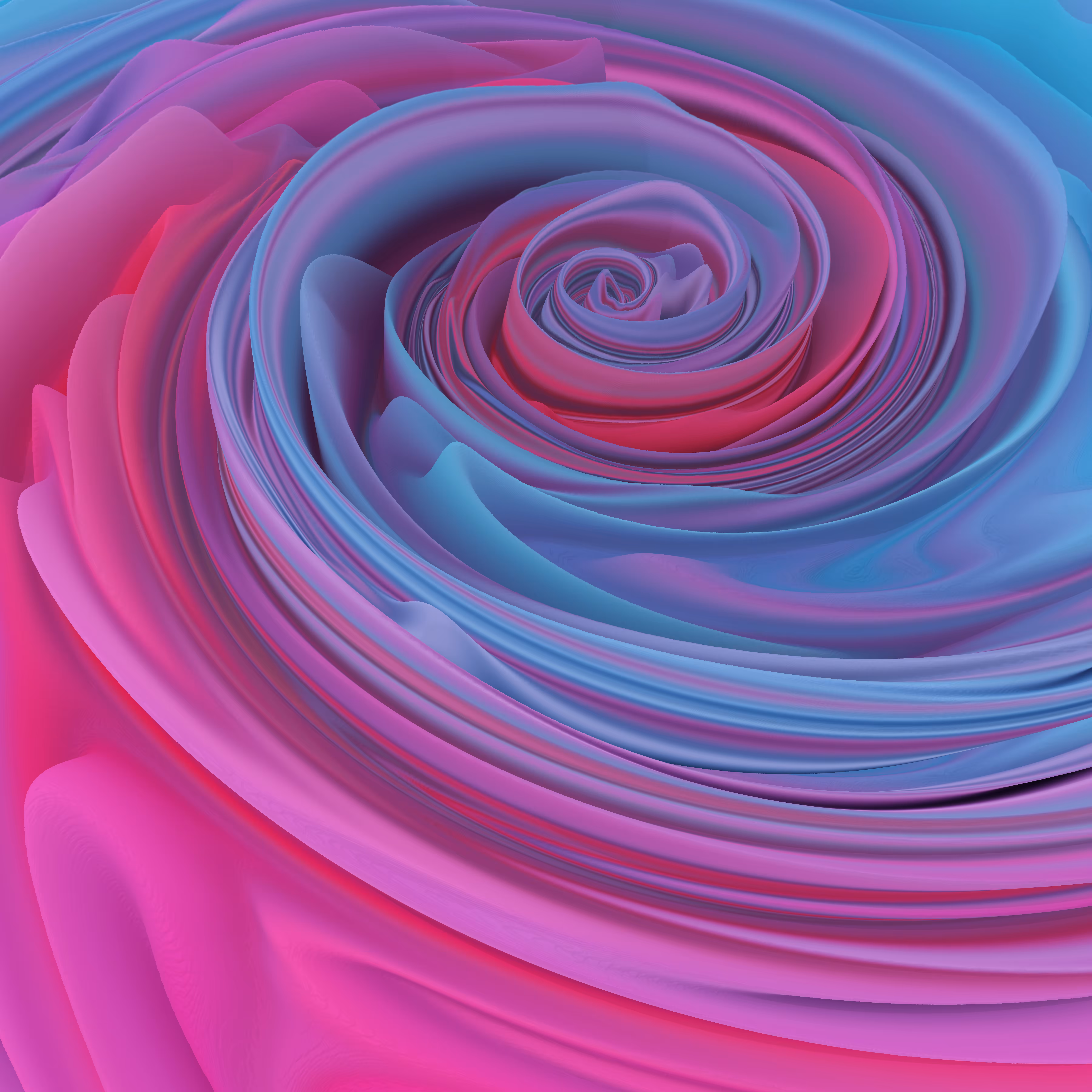 Bloom