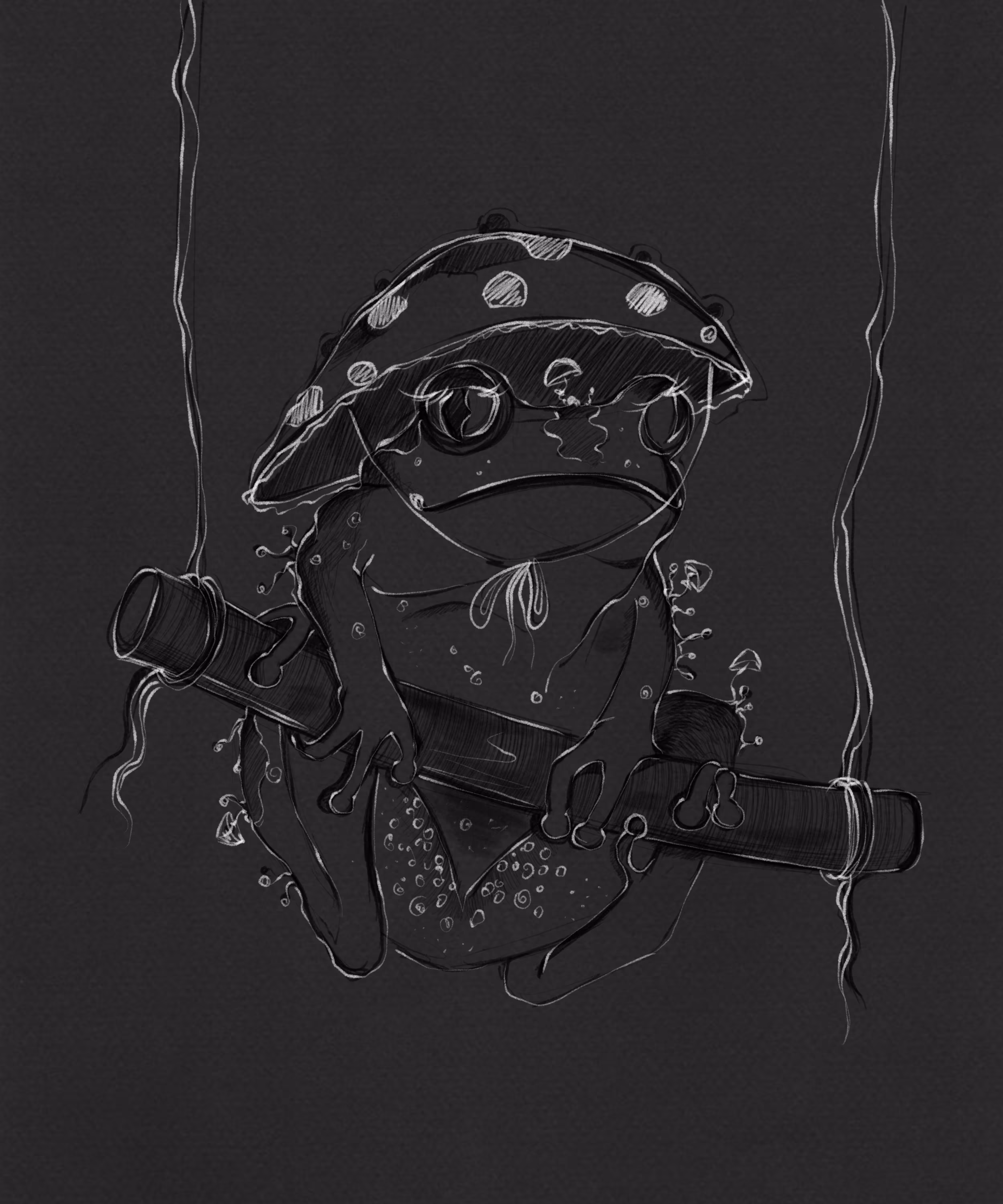 Toad