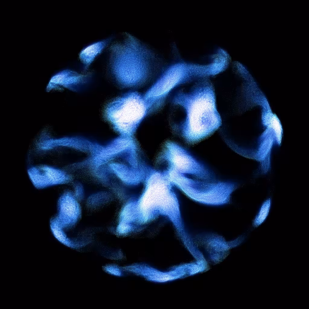 PETRI #107
