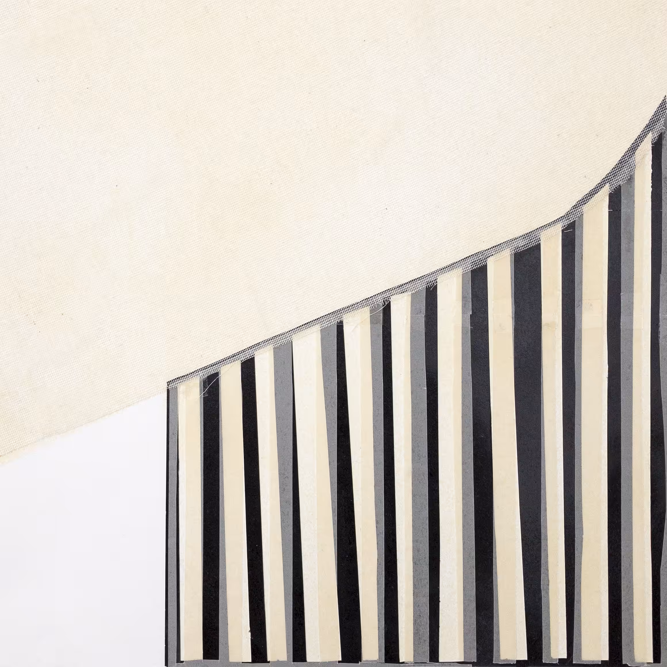 Forming Fringes/ Tall