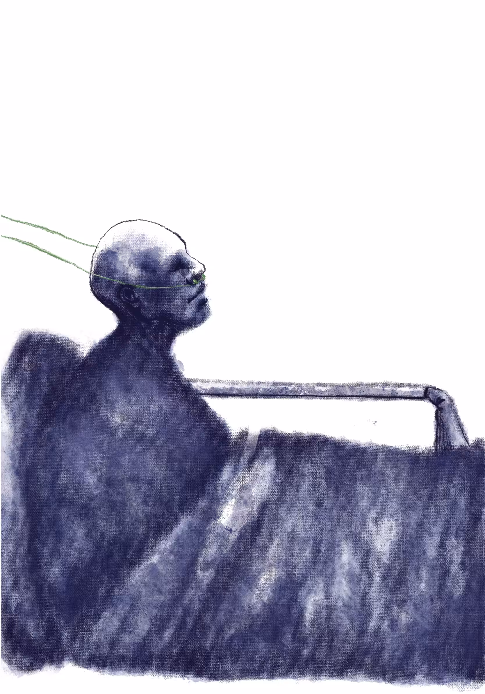 Nepremonade