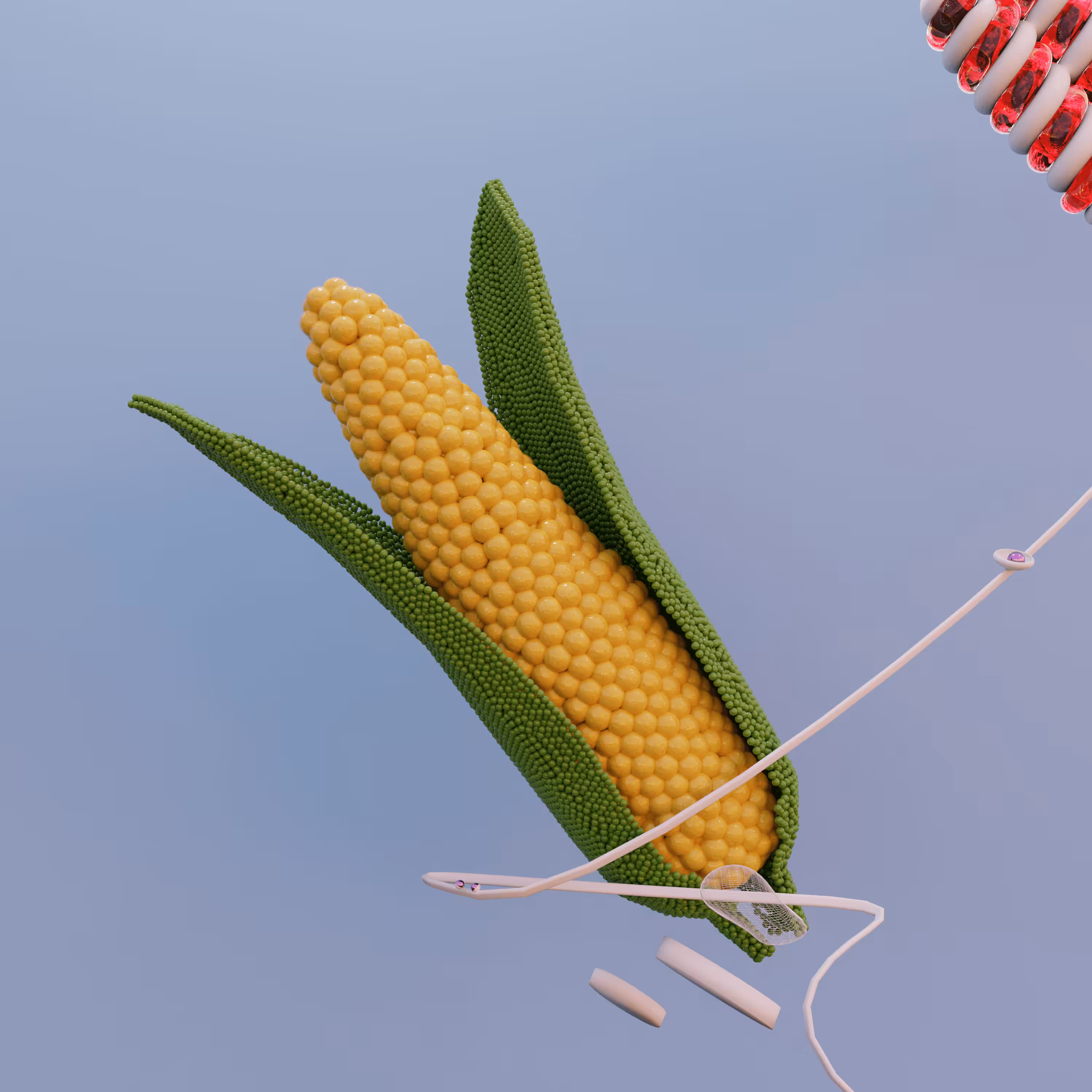 Corn