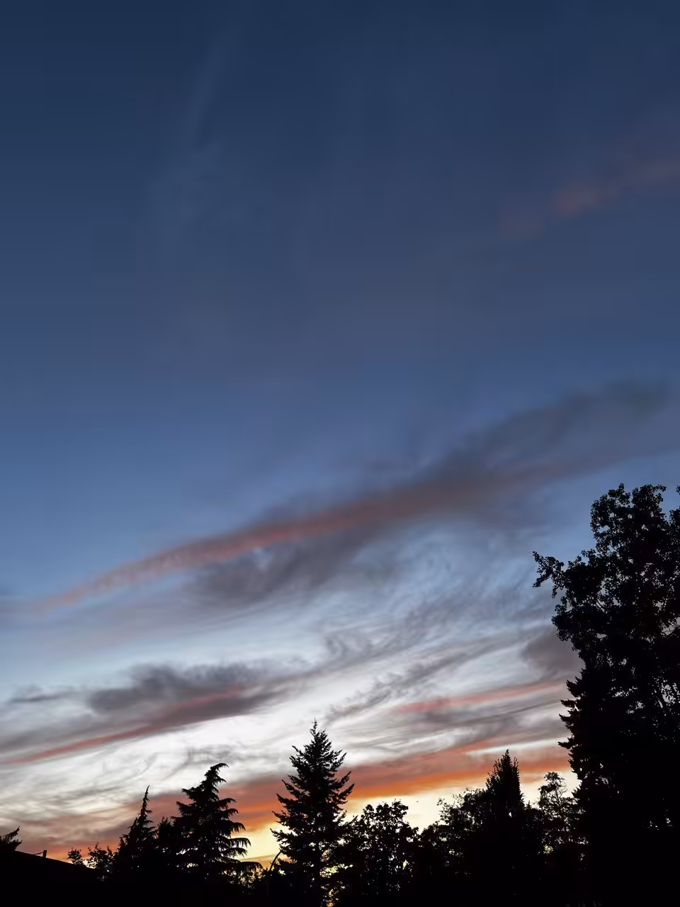 Shadowed Horizons