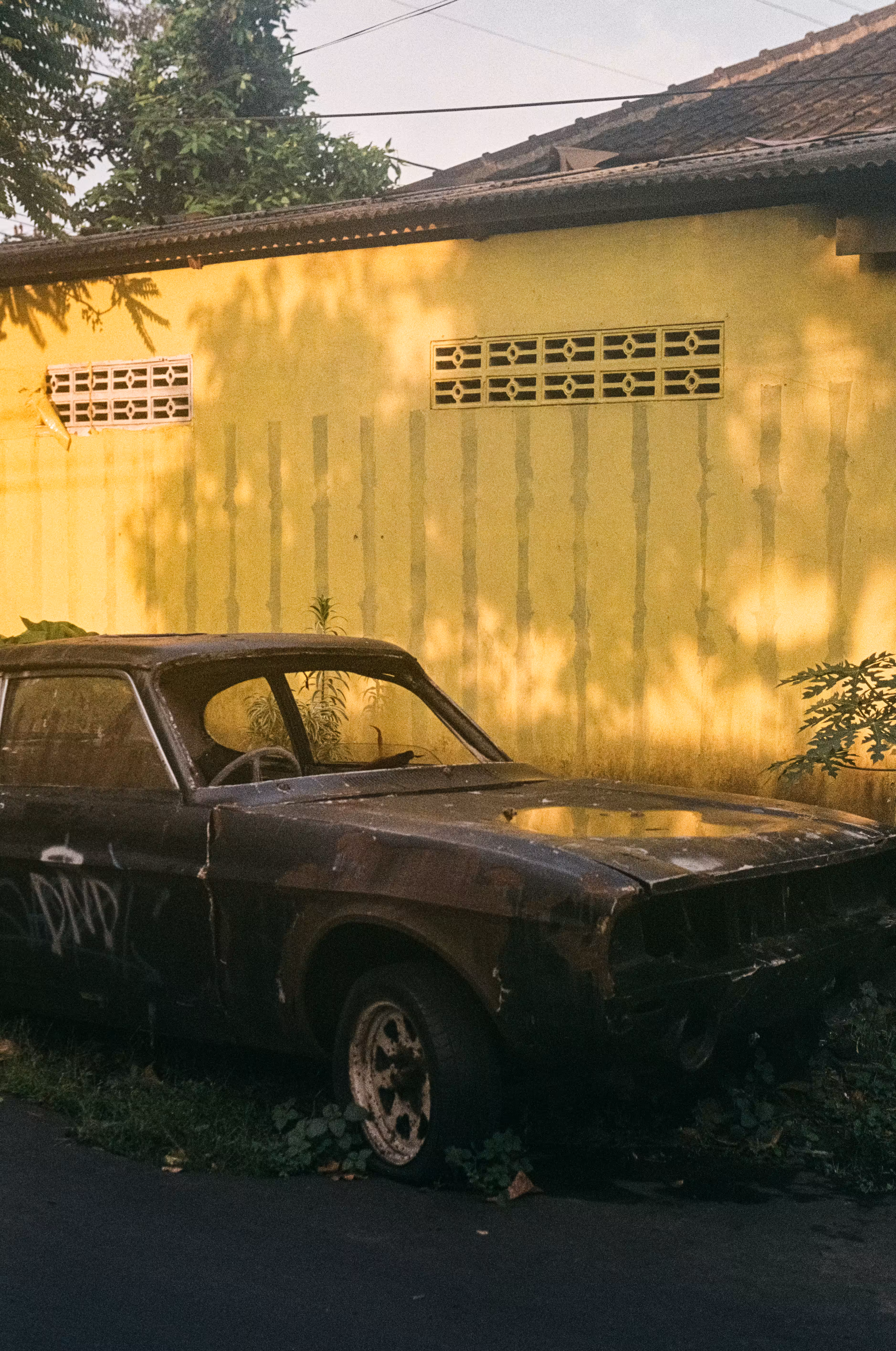 Old abandoned cars