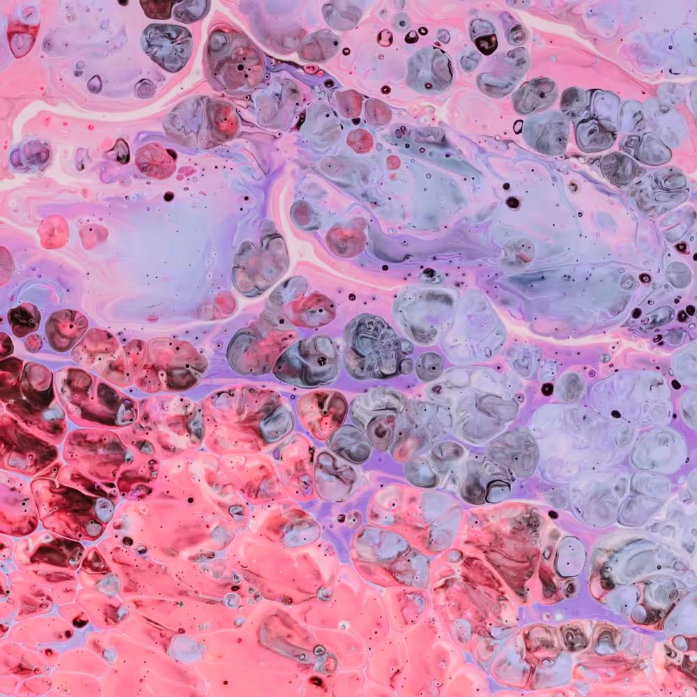 Colors For The Planet LE