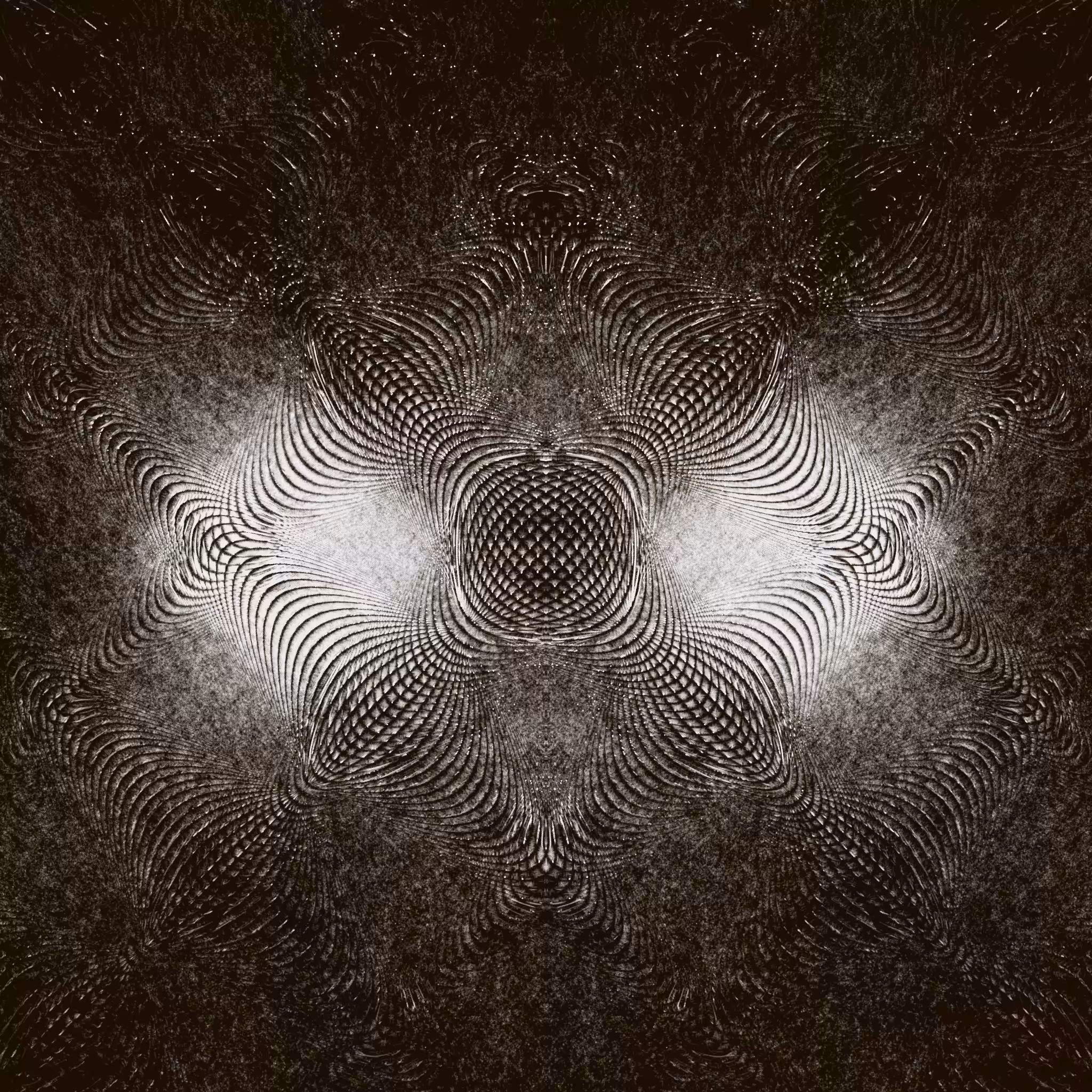 Amerkle #481