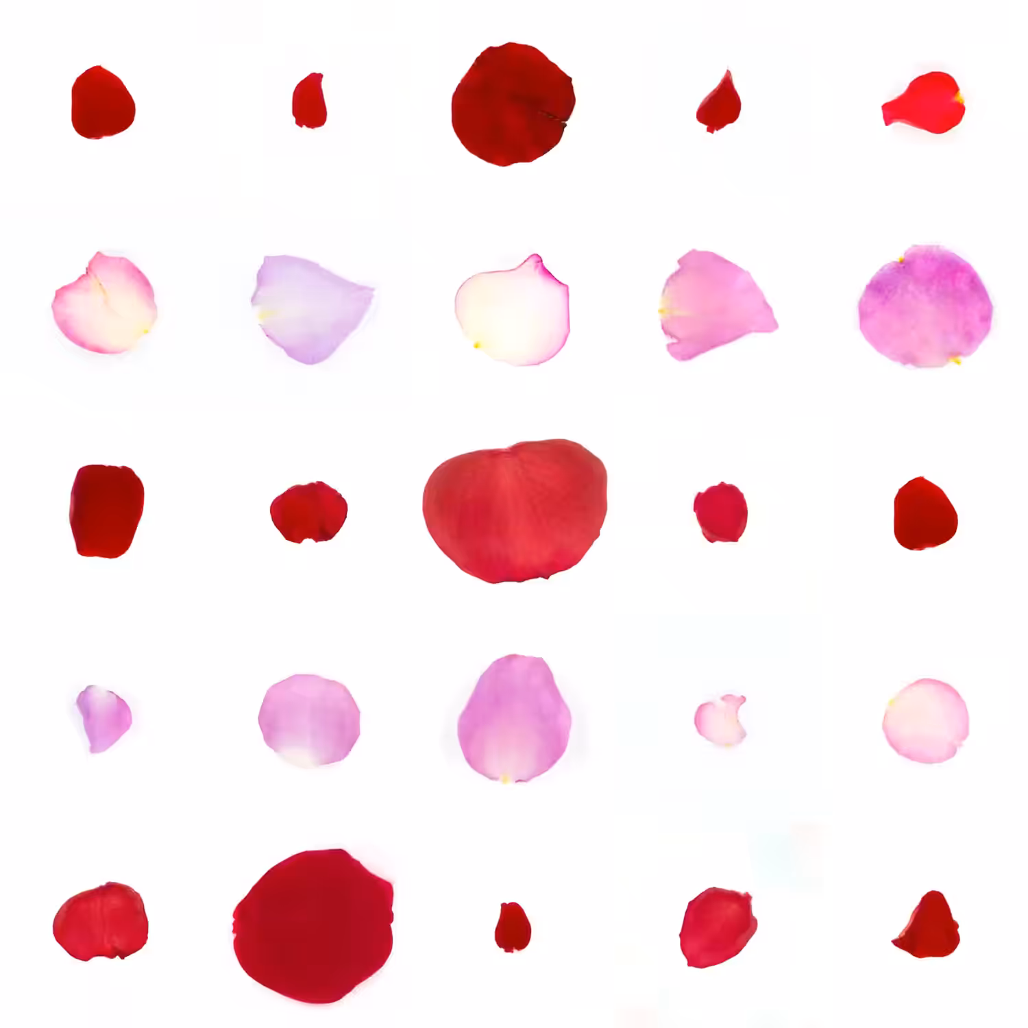 Infinite Petals 5x5#20519