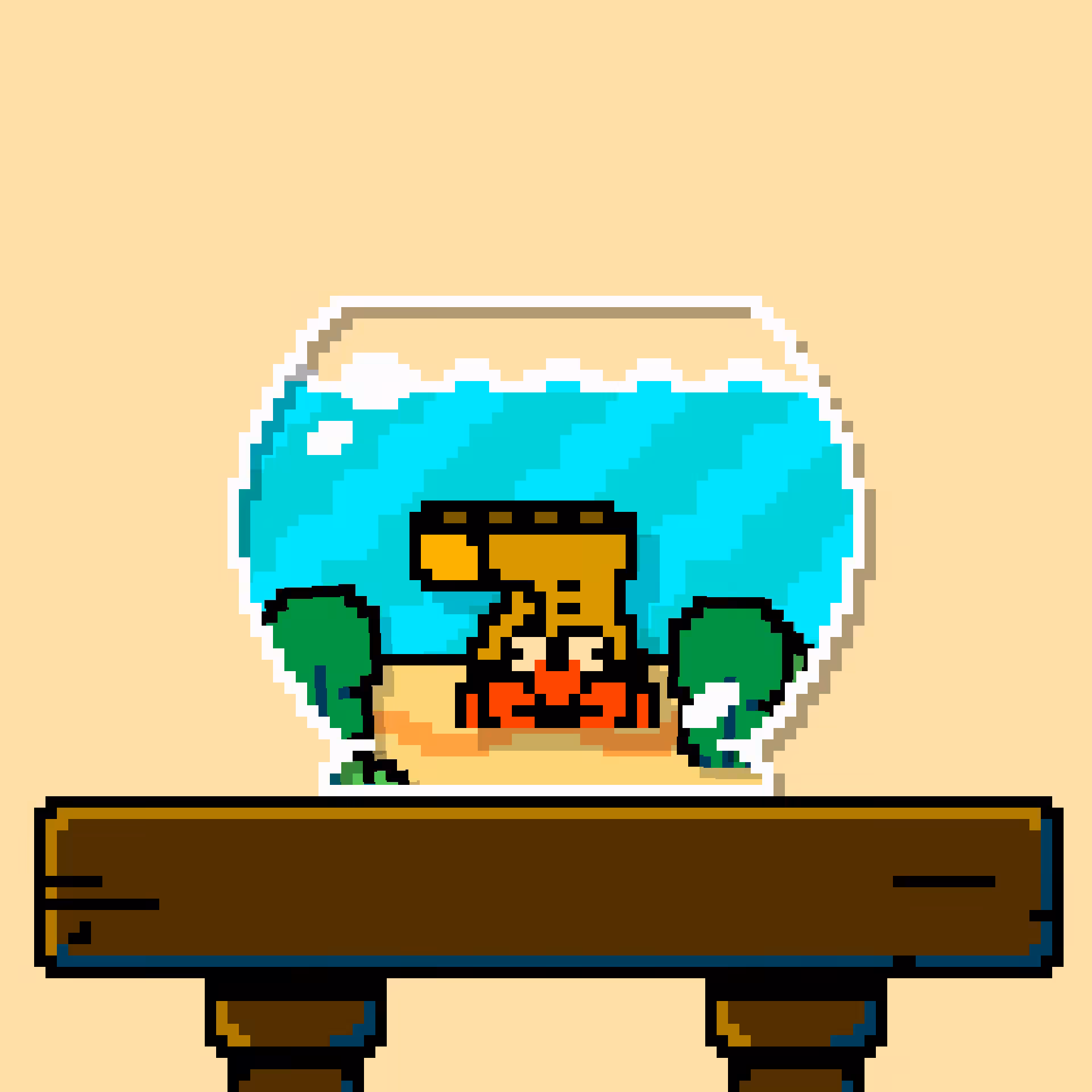 hermit crab #91