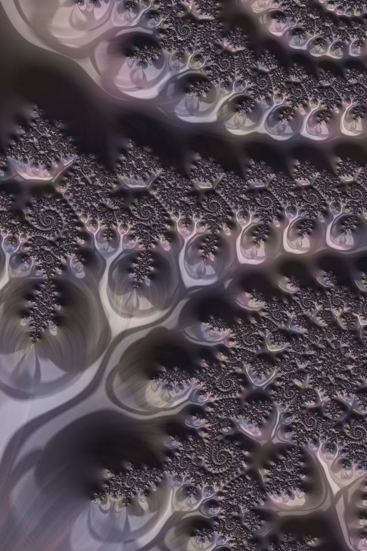 Algae 