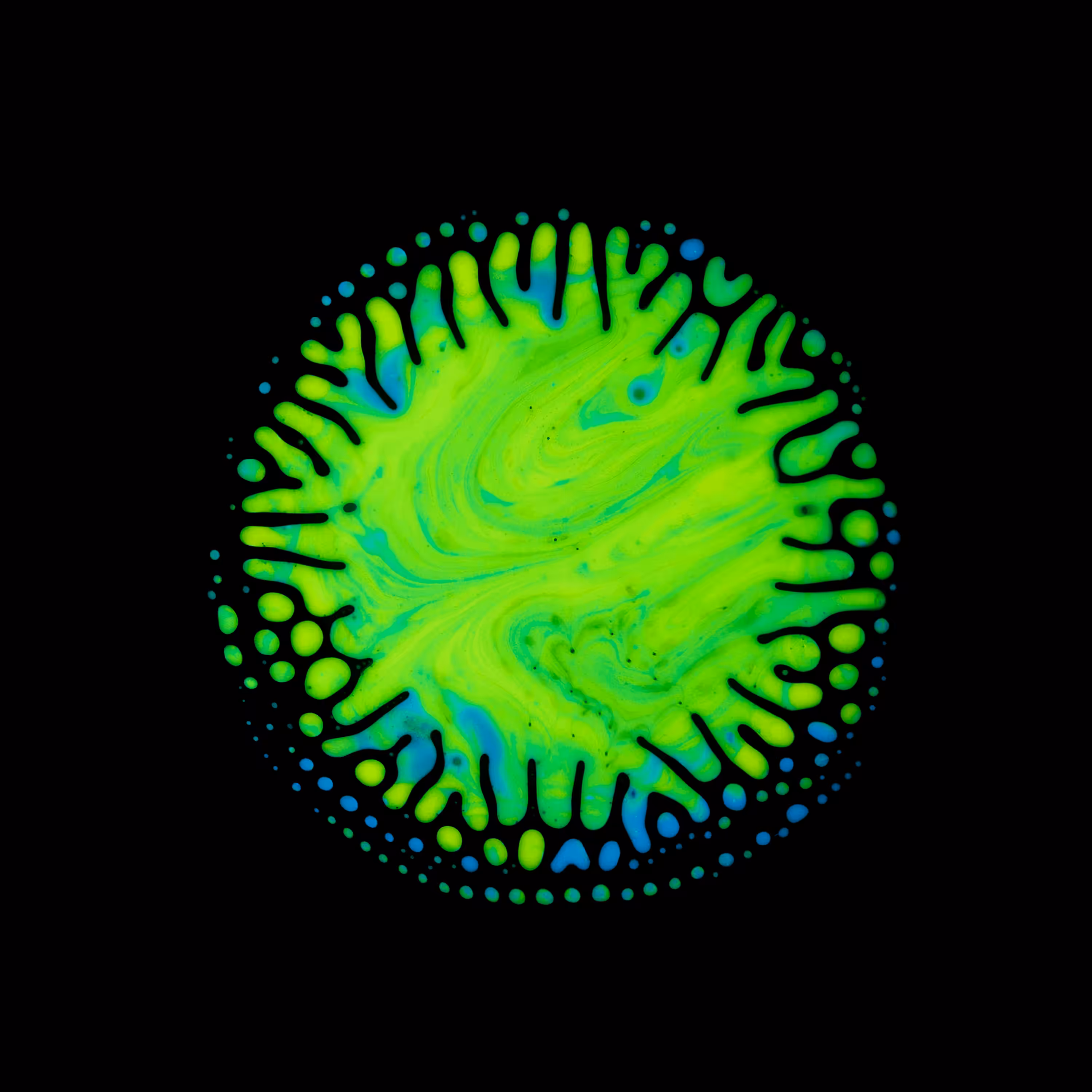 Haematopoiesis #36