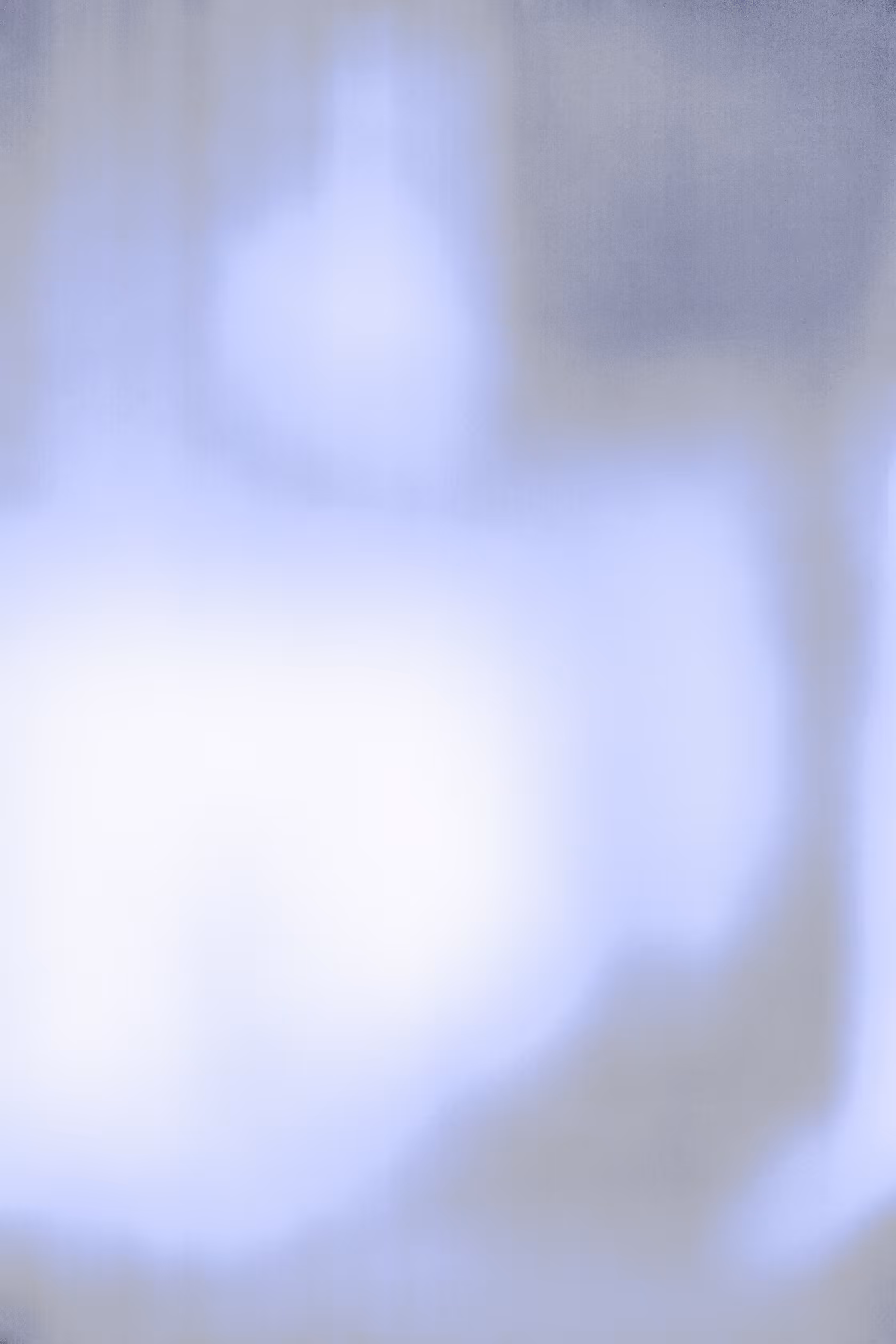 SALT 20