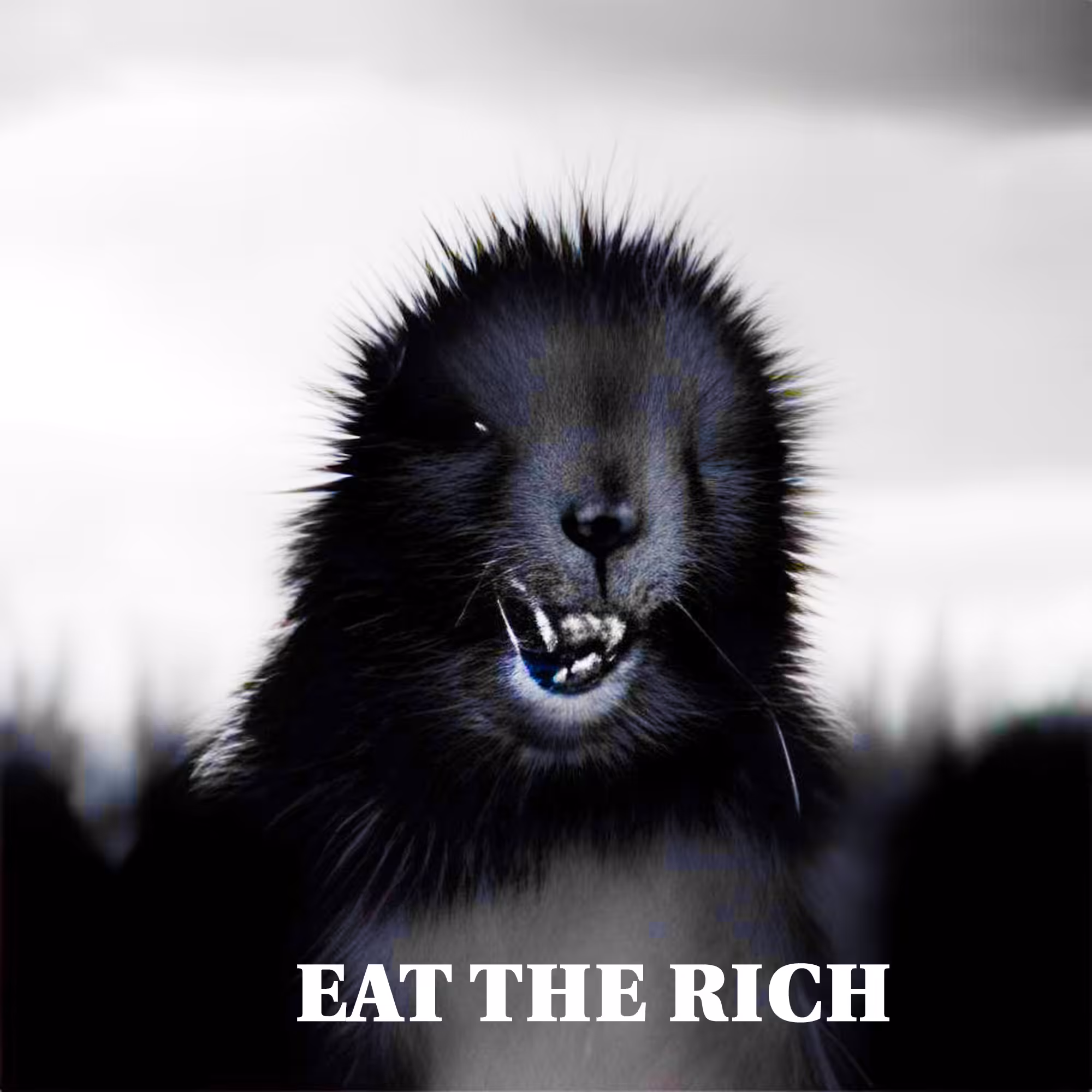 Revolutionary Groundhog Day 7:36 PM