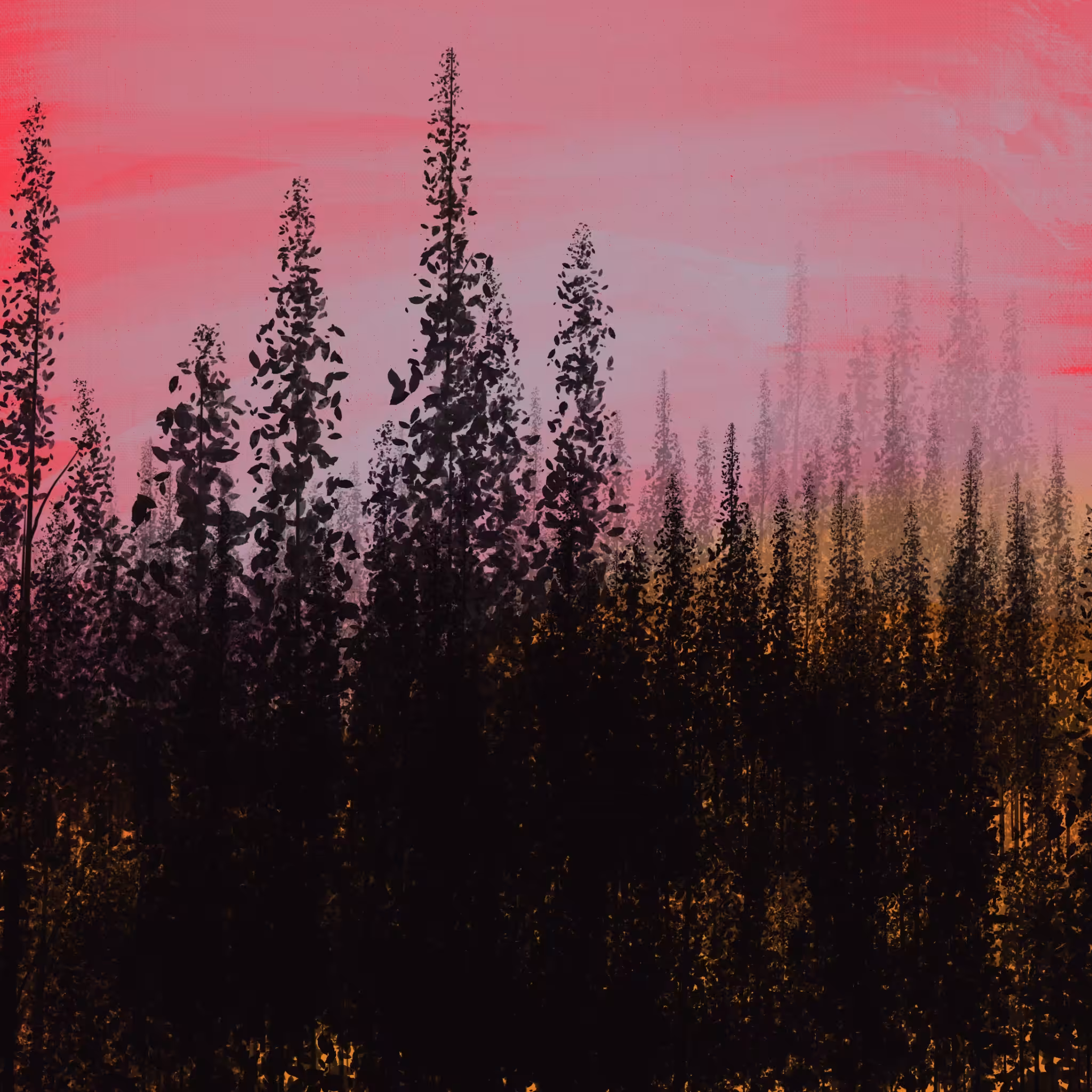 Fire sky