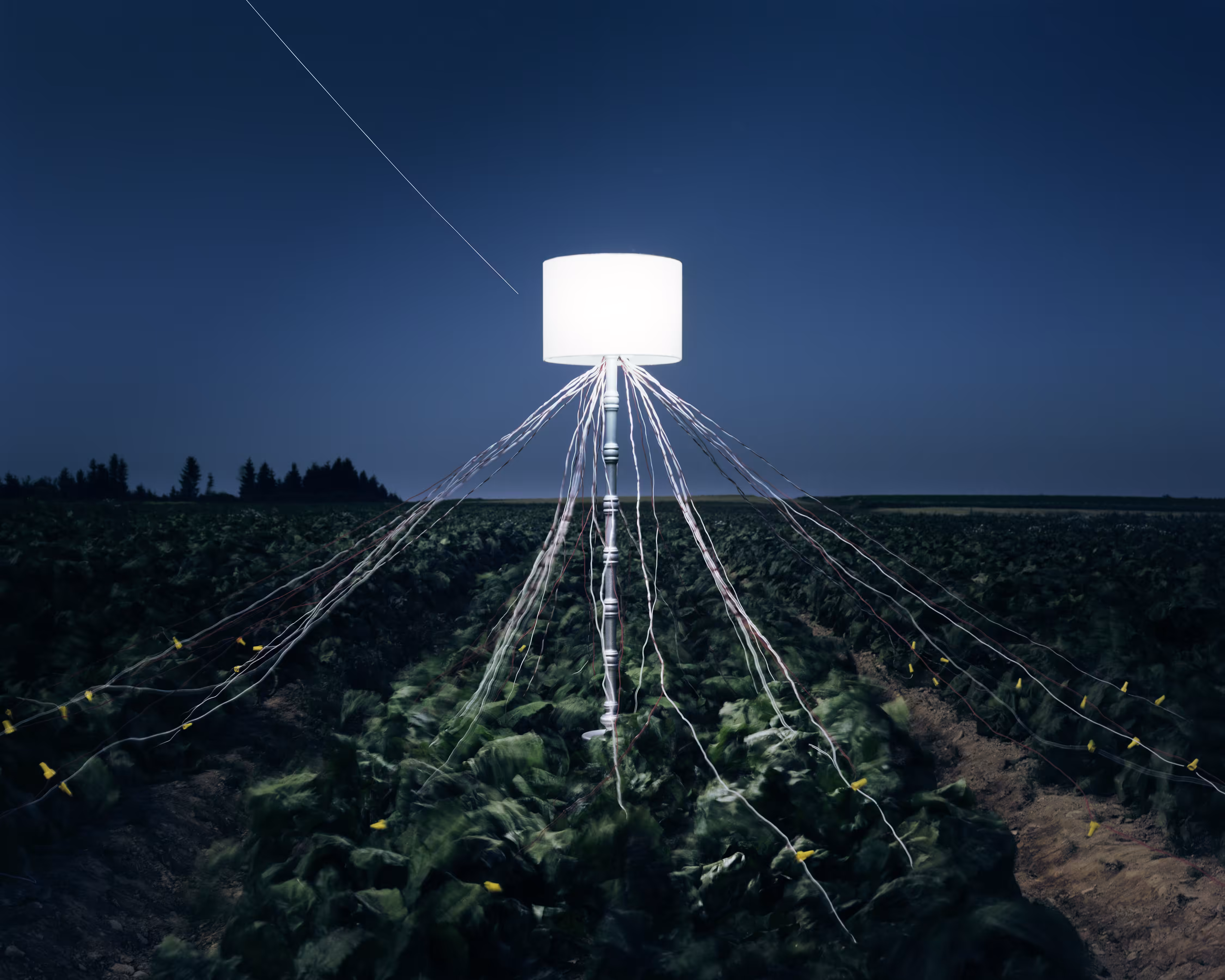 Back to Light - Beet Field Battery, LaJoie Growers LLC, Van Buren, Maine
