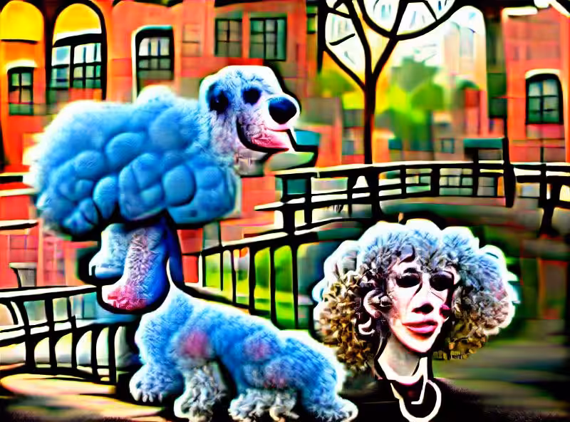 Abraham's First Works: Brooklyn Poodle