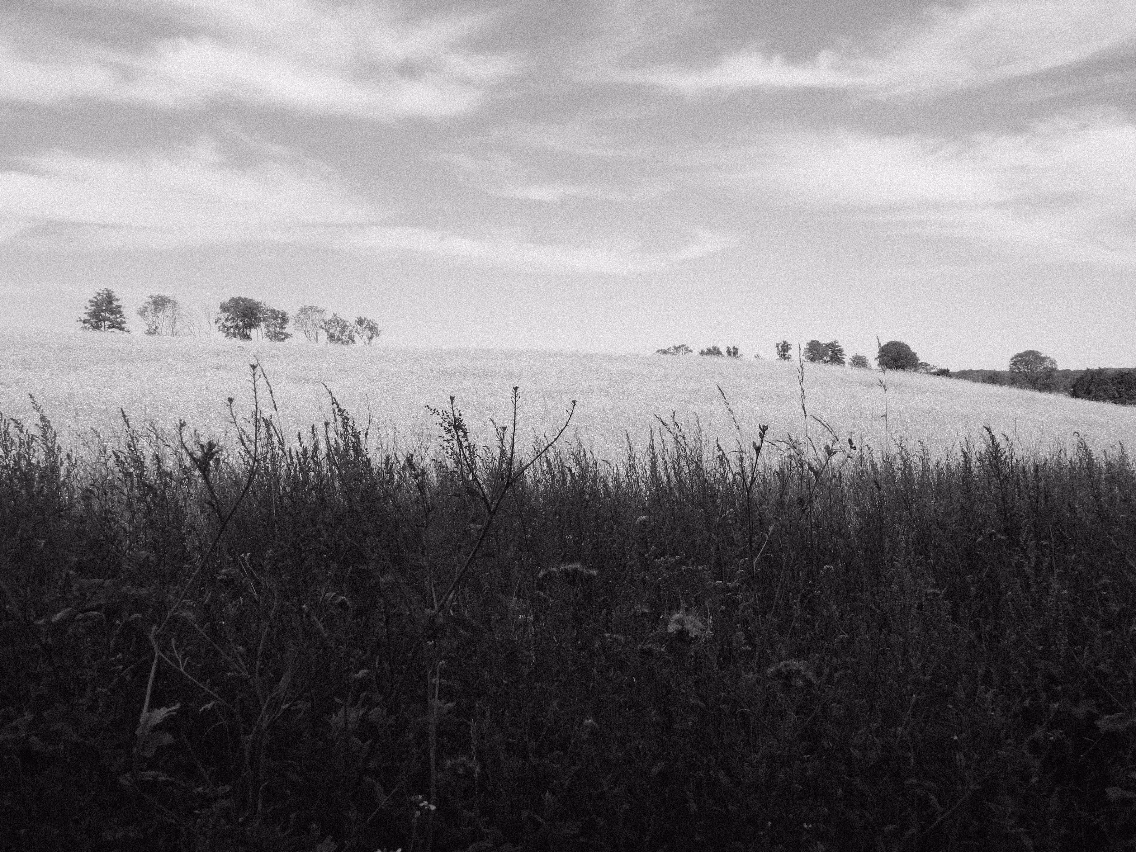 summer not winter