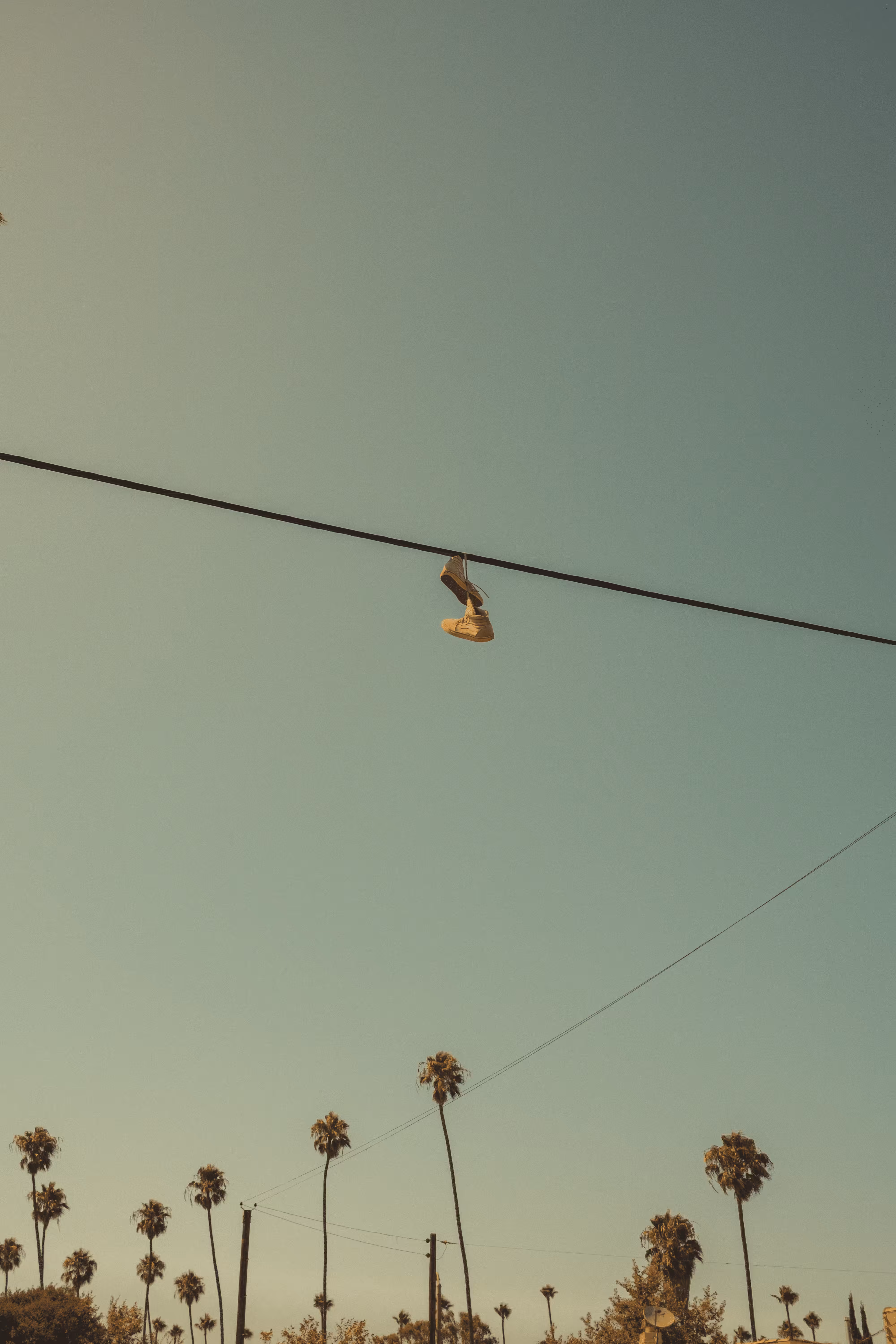 Somewhere Else: 031 - Money Trees