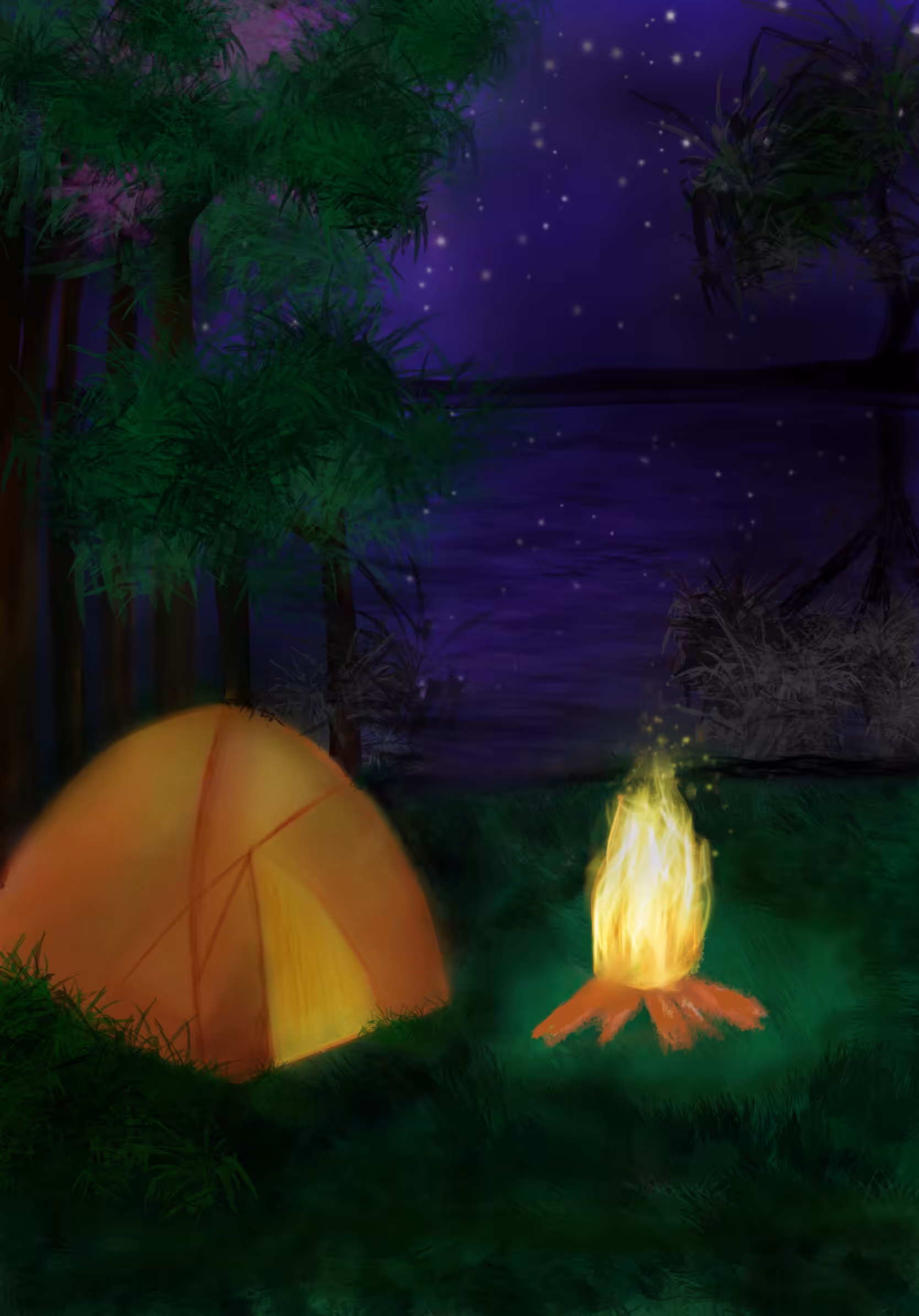 Bonfire & camping 