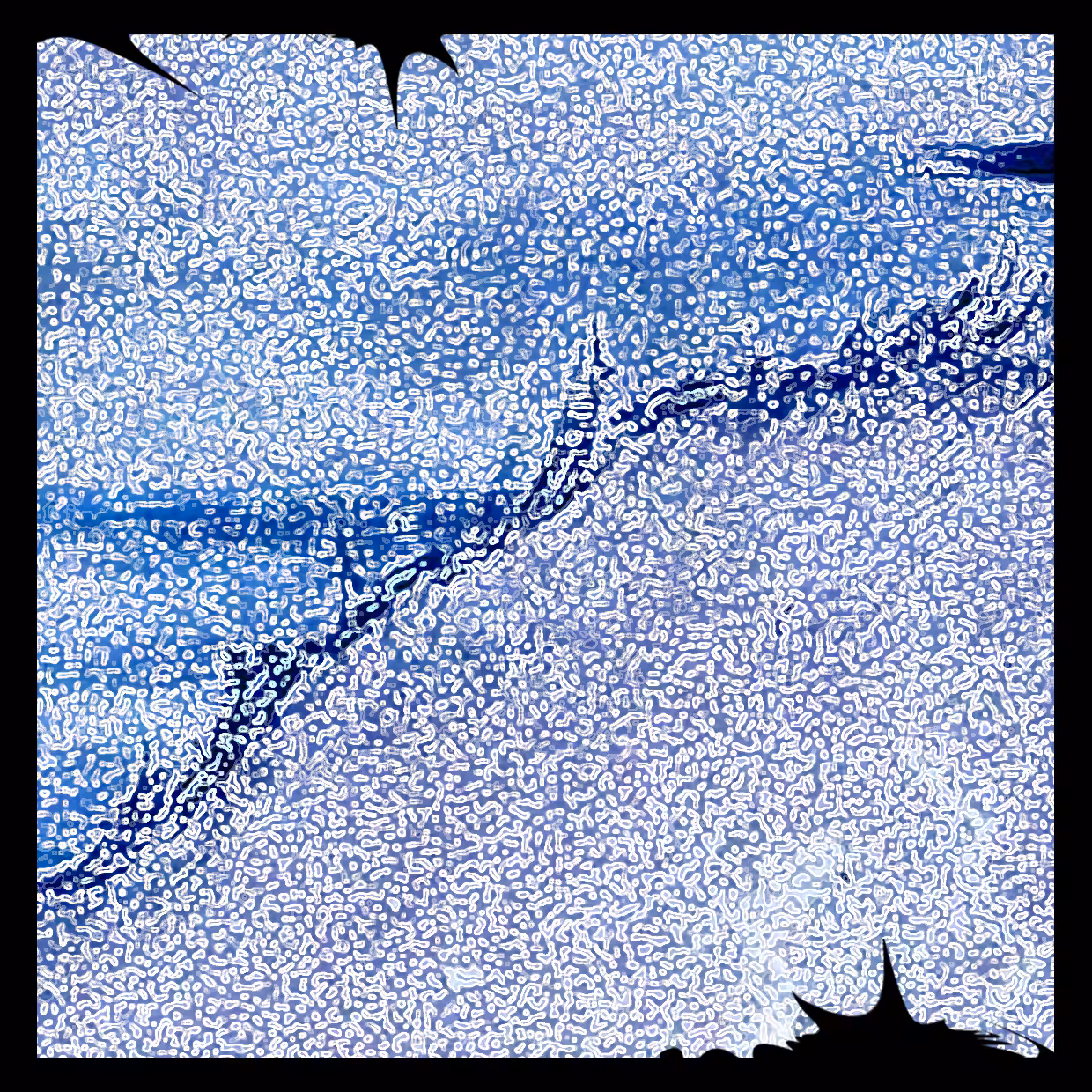 Cell 17