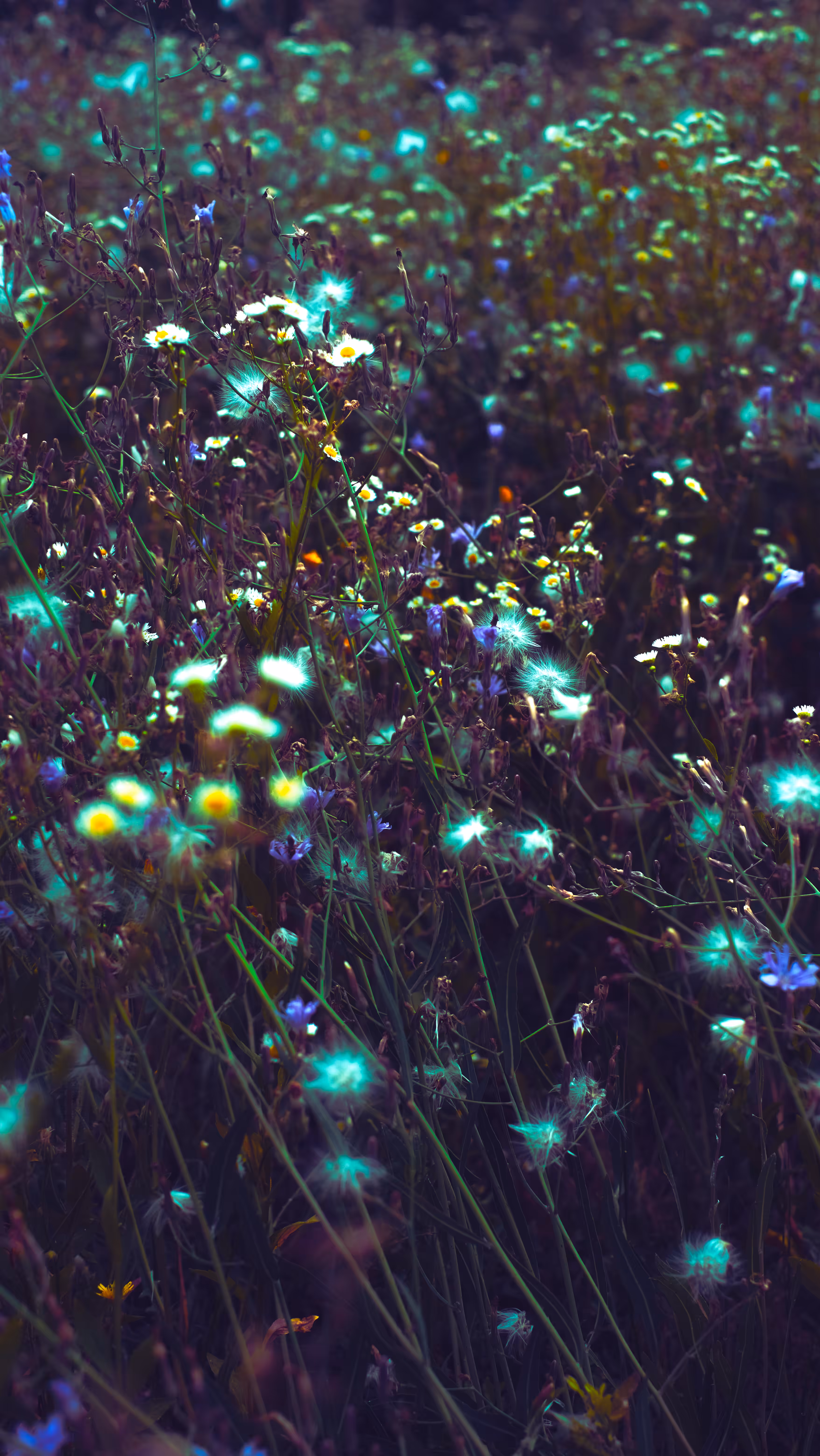 Summer atmosphere