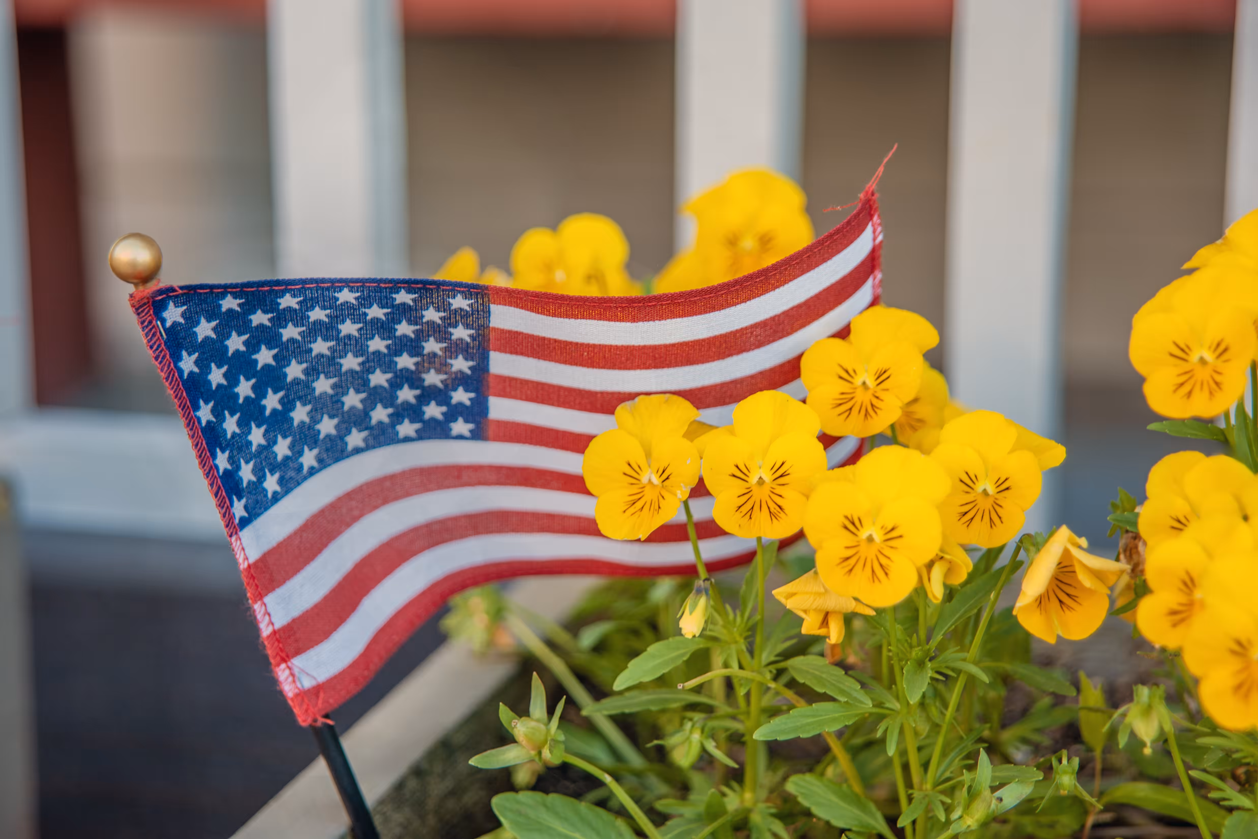 Porchlight Republic