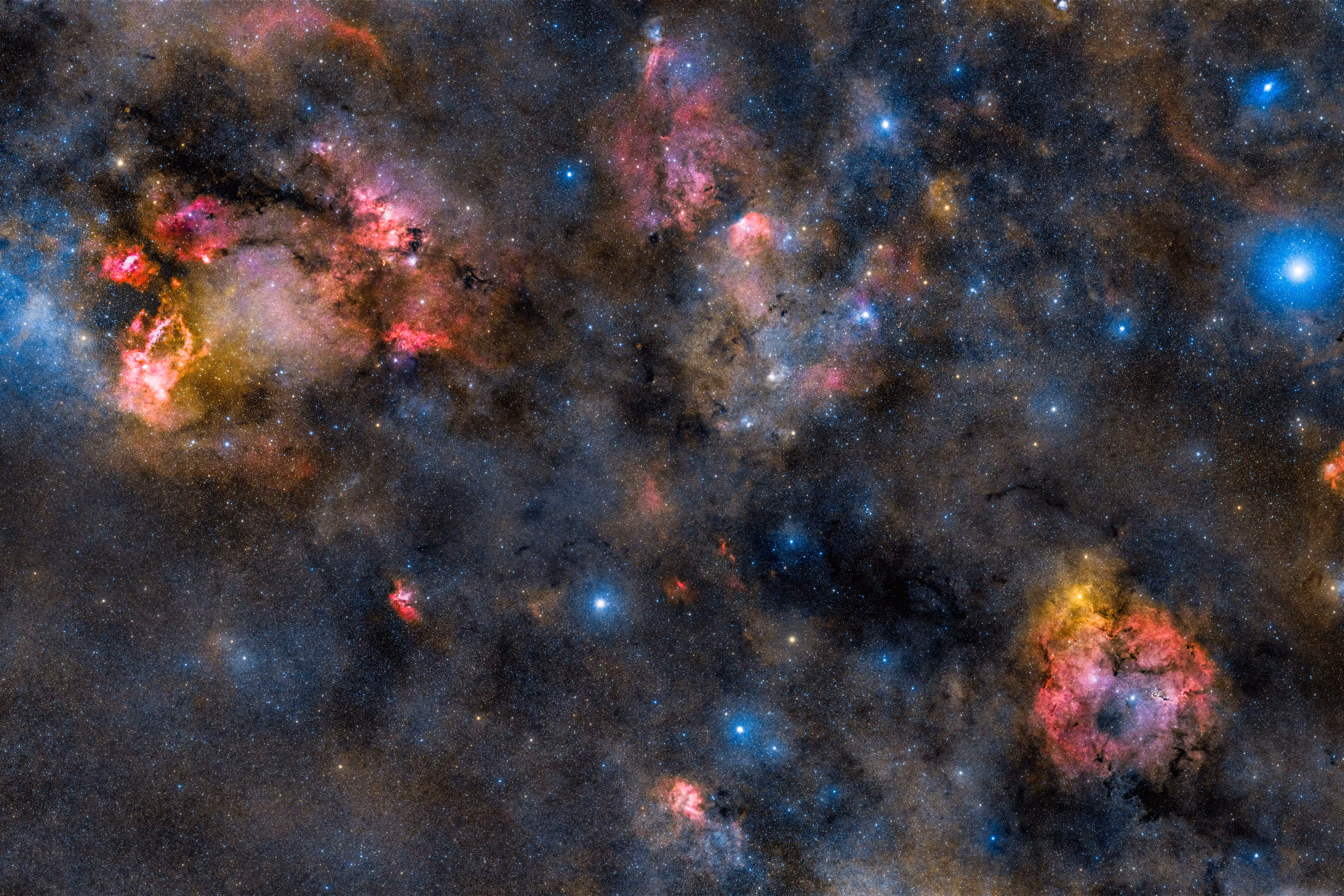 Cepheus
