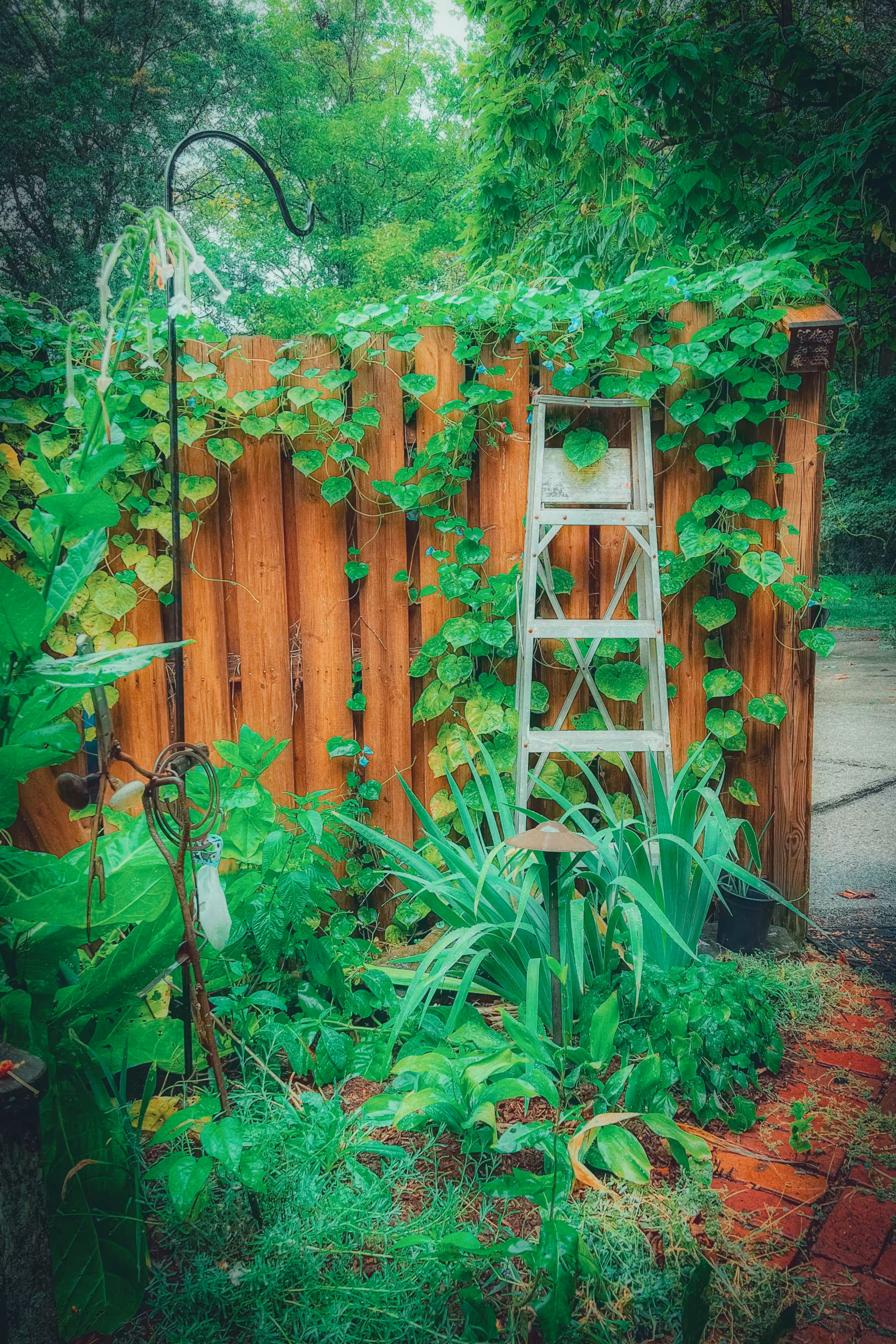 Fairies playground