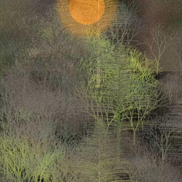 Moonlit Native Bush #65
