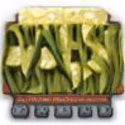 cashwars.com (1999-2001) reimagined by Cosmographia, with Simon Denny and Guile Twardowski