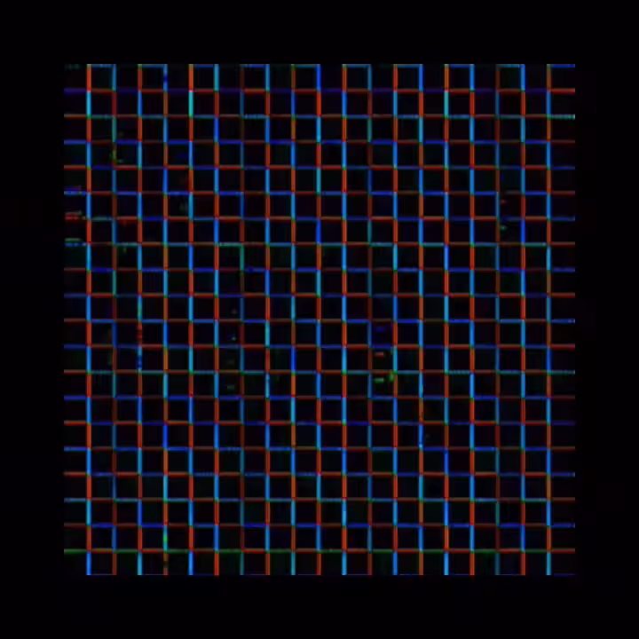 𝕸𝖞𝖘𝖙𝖊𝖗𝖎𝖔𝖚𝖘 𝕾𝖎𝖌𝖓𝖆𝖑