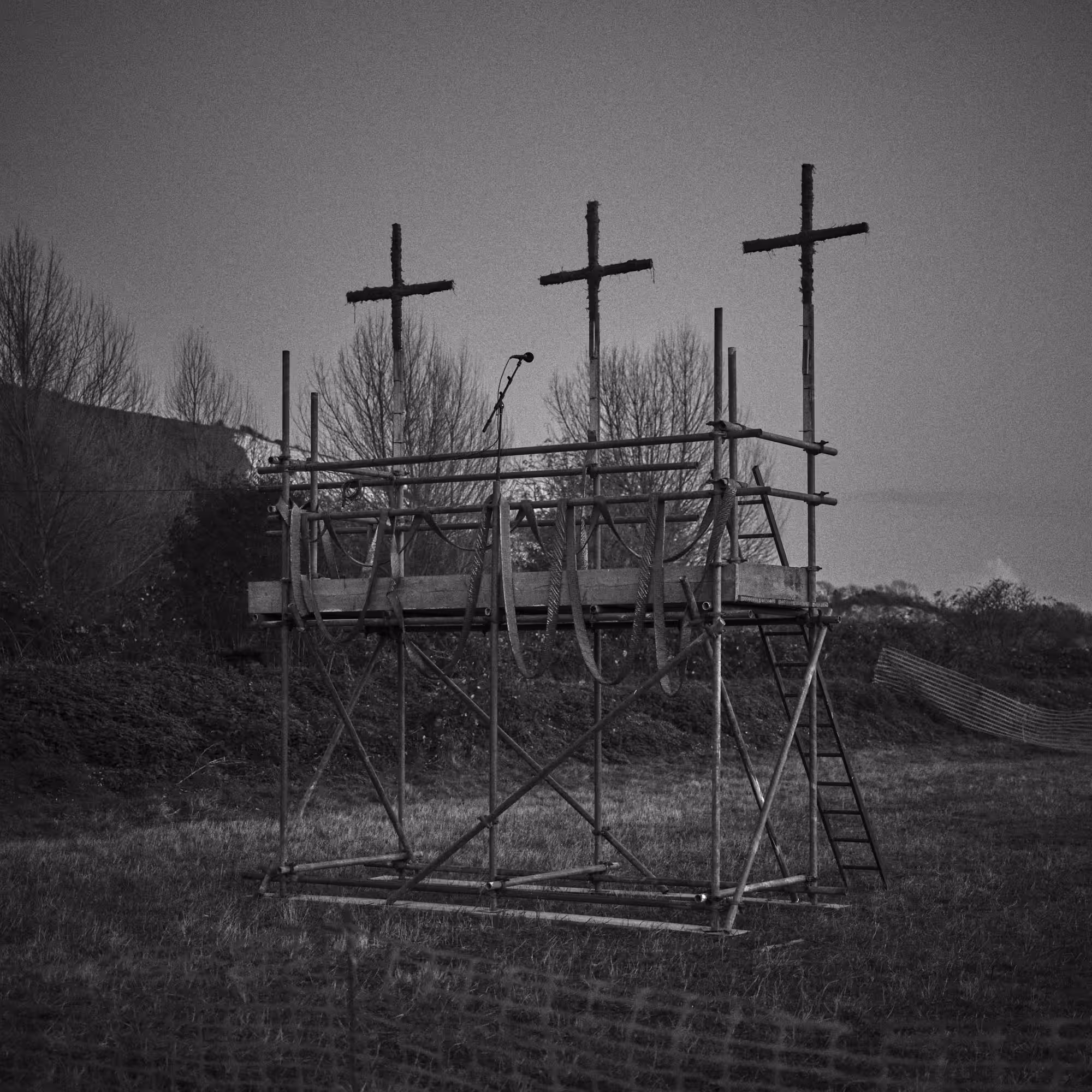 Apiary #40